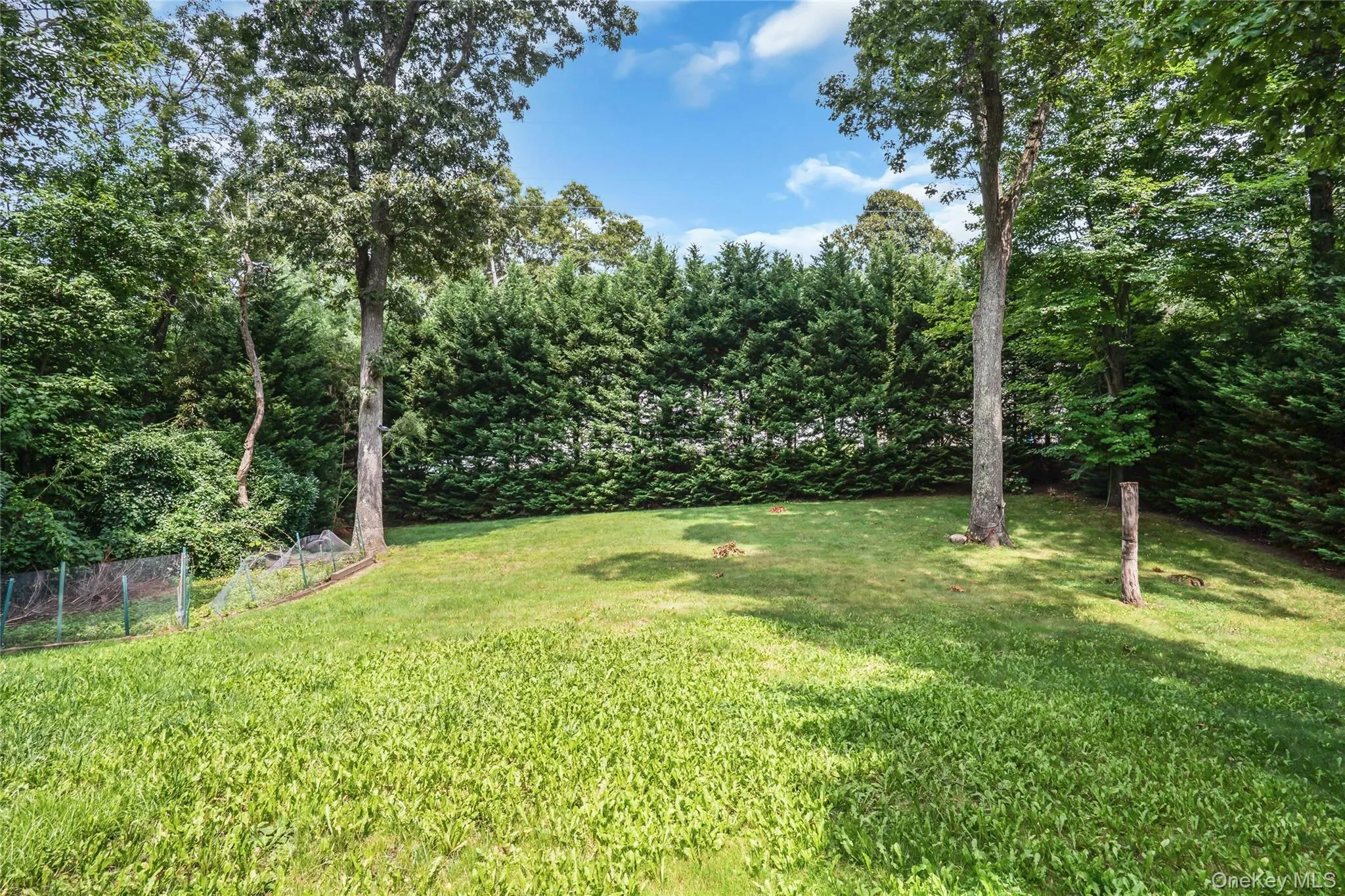48 Colby Drive, Huntington, NY, 5 Bedrooms Bedrooms, 16 Rooms Rooms,3 BathroomsBathrooms,Residential,For Rent,Colby,0,1029331 48 Colby Drive, Huntington, NY, 5 Bedrooms Bedrooms, 16 Rooms Rooms,3 BathroomsBathrooms,Residential,For Rent,Colby,0,1029331