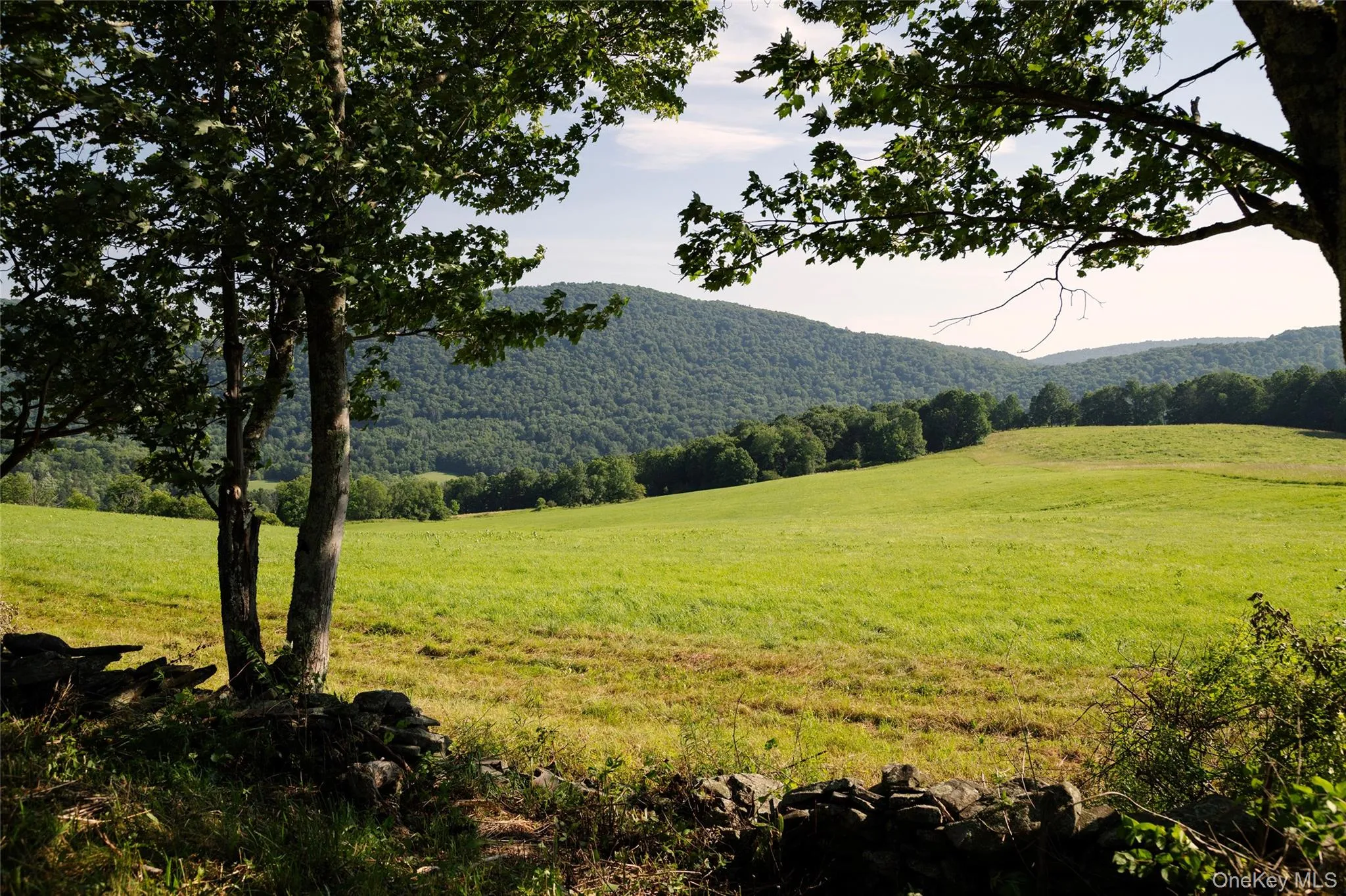377 Reinertsen Hill Road, Bovina, NY, 2 Bedrooms Bedrooms, 5 Rooms Rooms,1 BathroomBathrooms,Residential,For Rent,Reinertsen Hill,0,1029354 377 Reinertsen Hill Road, Bovina, NY, 2 Bedrooms Bedrooms, 5 Rooms Rooms,1 BathroomBathrooms,Residential,For Rent,Reinertsen Hill,0,1029354