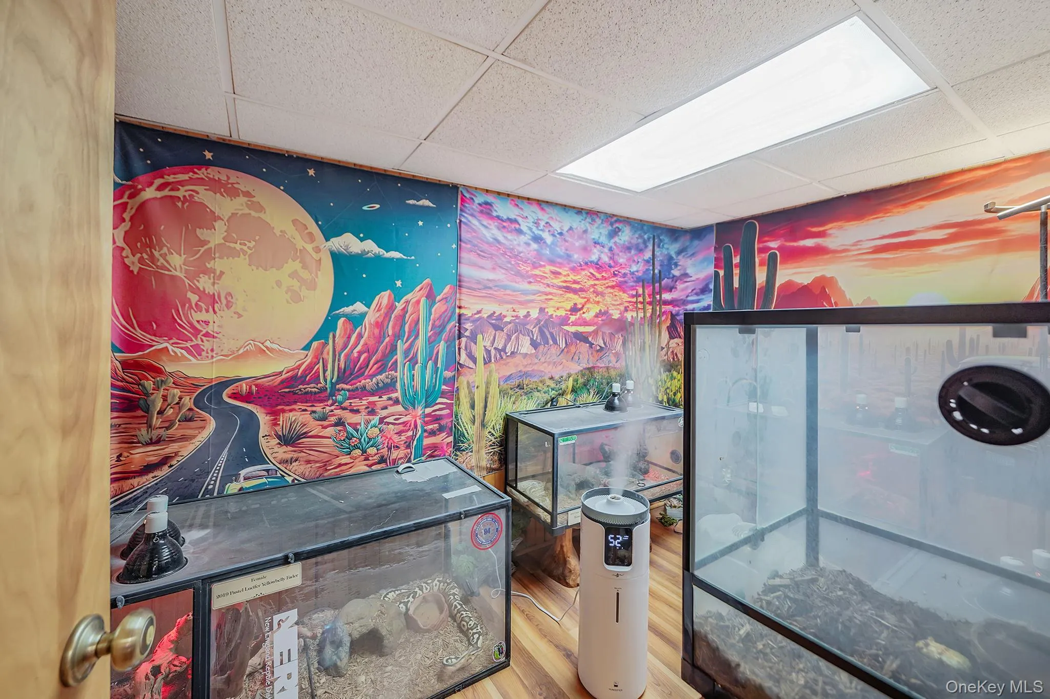 6 Hillside Road, Brookhaven, NY, 3 Bedrooms Bedrooms, 6 Rooms Rooms,2 BathroomsBathrooms,Residential,For Rent,Hillside,0,1029388 6 Hillside Road, Brookhaven, NY, 3 Bedrooms Bedrooms, 6 Rooms Rooms,2 BathroomsBathrooms,Residential,For Rent,Hillside,0,1029388