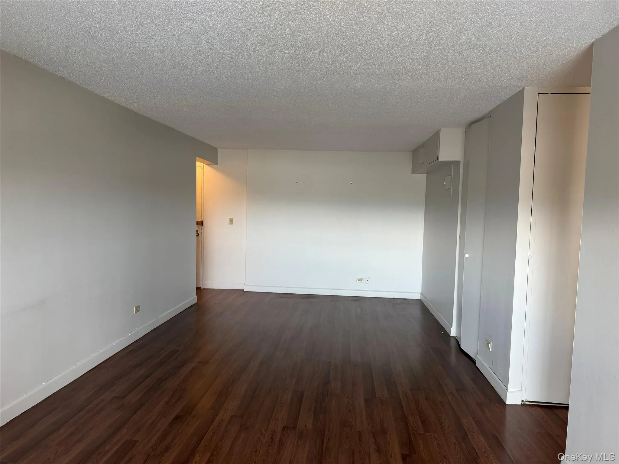 FRESHLY PAINTED SPACIOUS LIVING ROOM WITH ENGINEERED CHERRY HARDWOOD FLOORS FRESHLY PAINTED SPACIOUS LIVING ROOM WITH ENGINEERED CHERRY HARDWOOD FLOORS