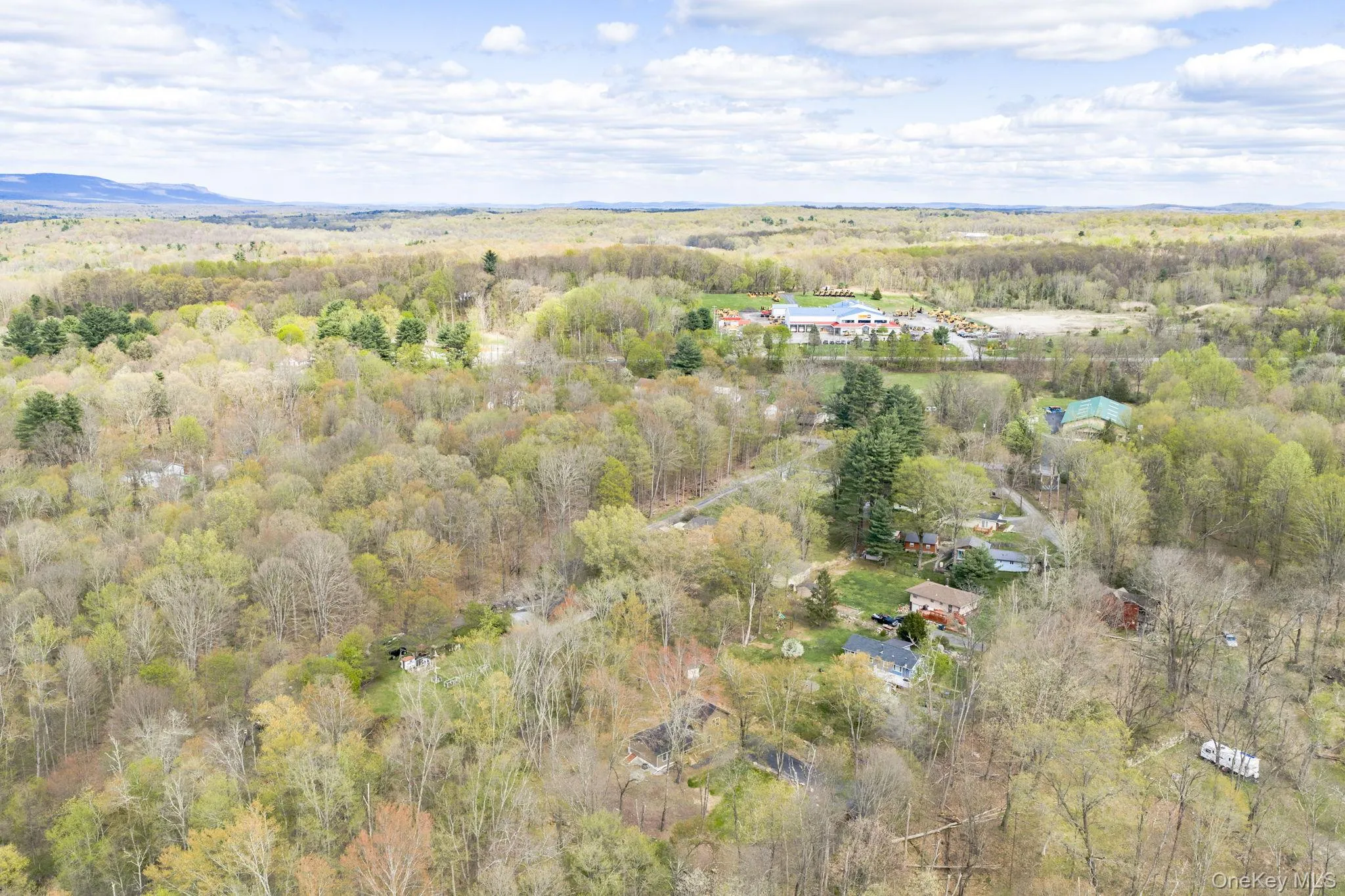 Expansive aerial perspective showcasing a verdant landscape with extensive tree coverage and distant mountains Expansive aerial perspective showcasing a verdant landscape with extensive tree coverage and distant mountains