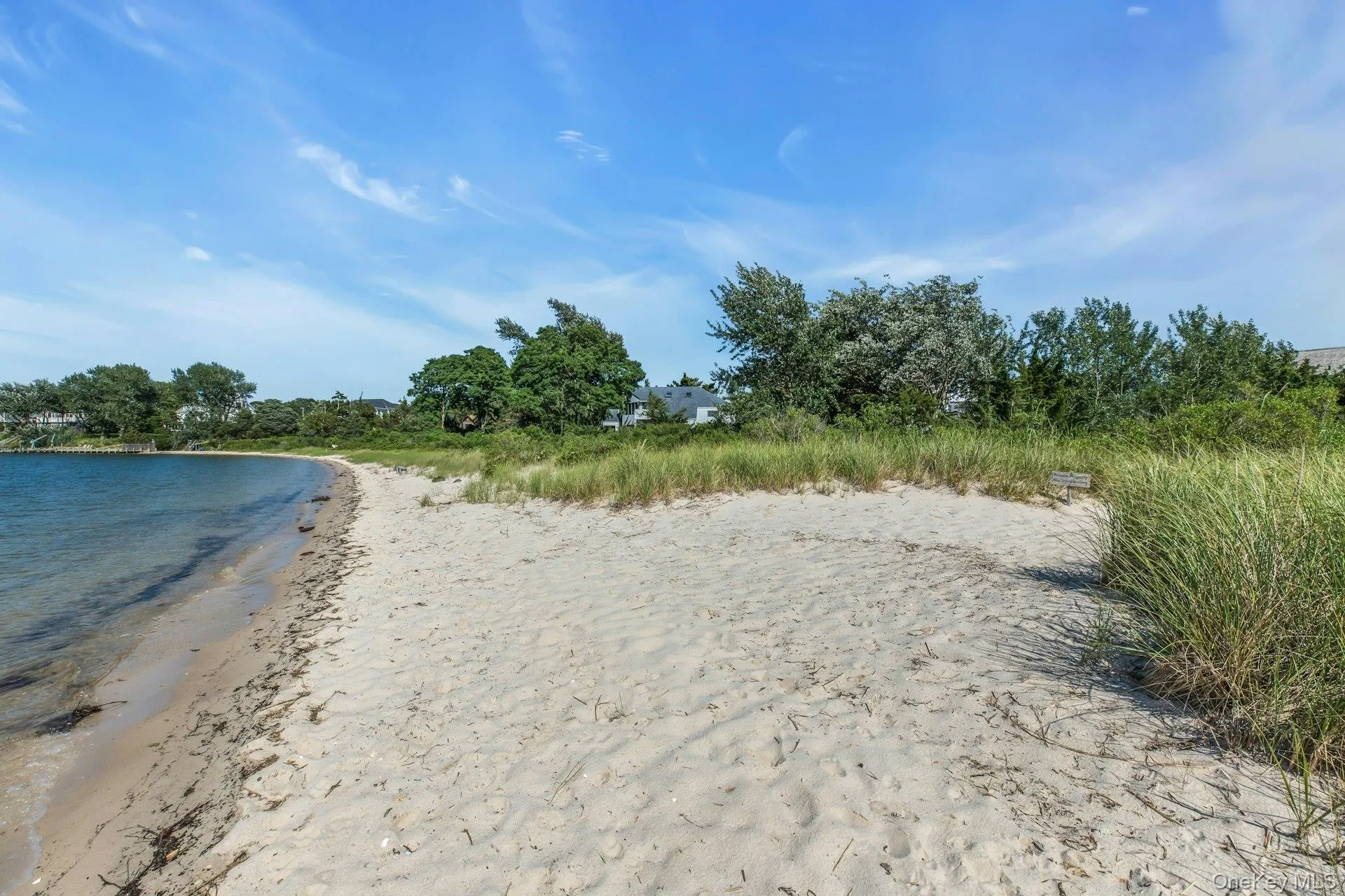 Sandy private beach shoreline with calm waters and natural vegetation along the dunes Sandy private beach shoreline with calm waters and natural vegetation along the dunes