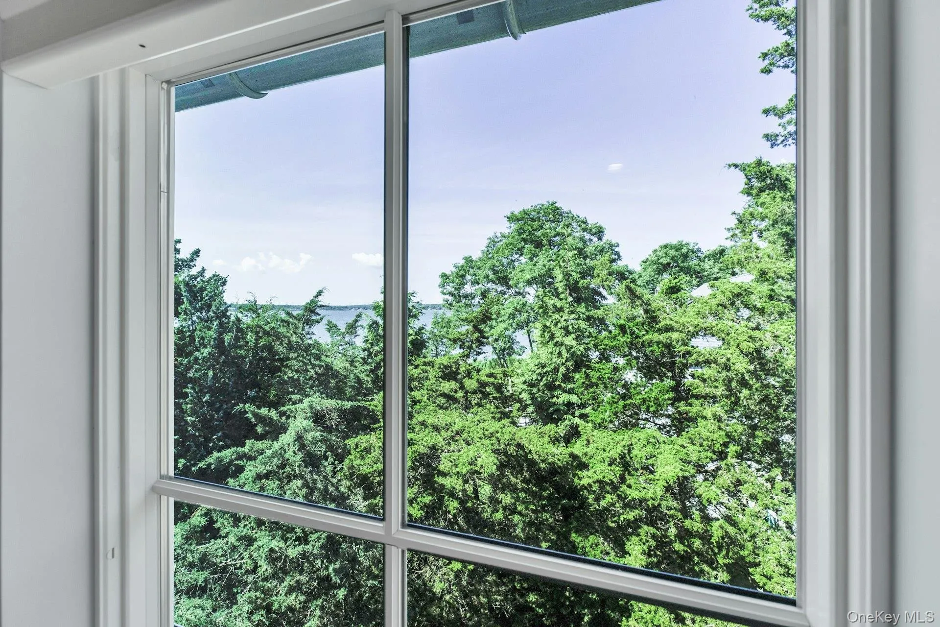 White-framed window with multiple panes overlooking abundant green trees and a body of water White-framed window with multiple panes overlooking abundant green trees and a body of water