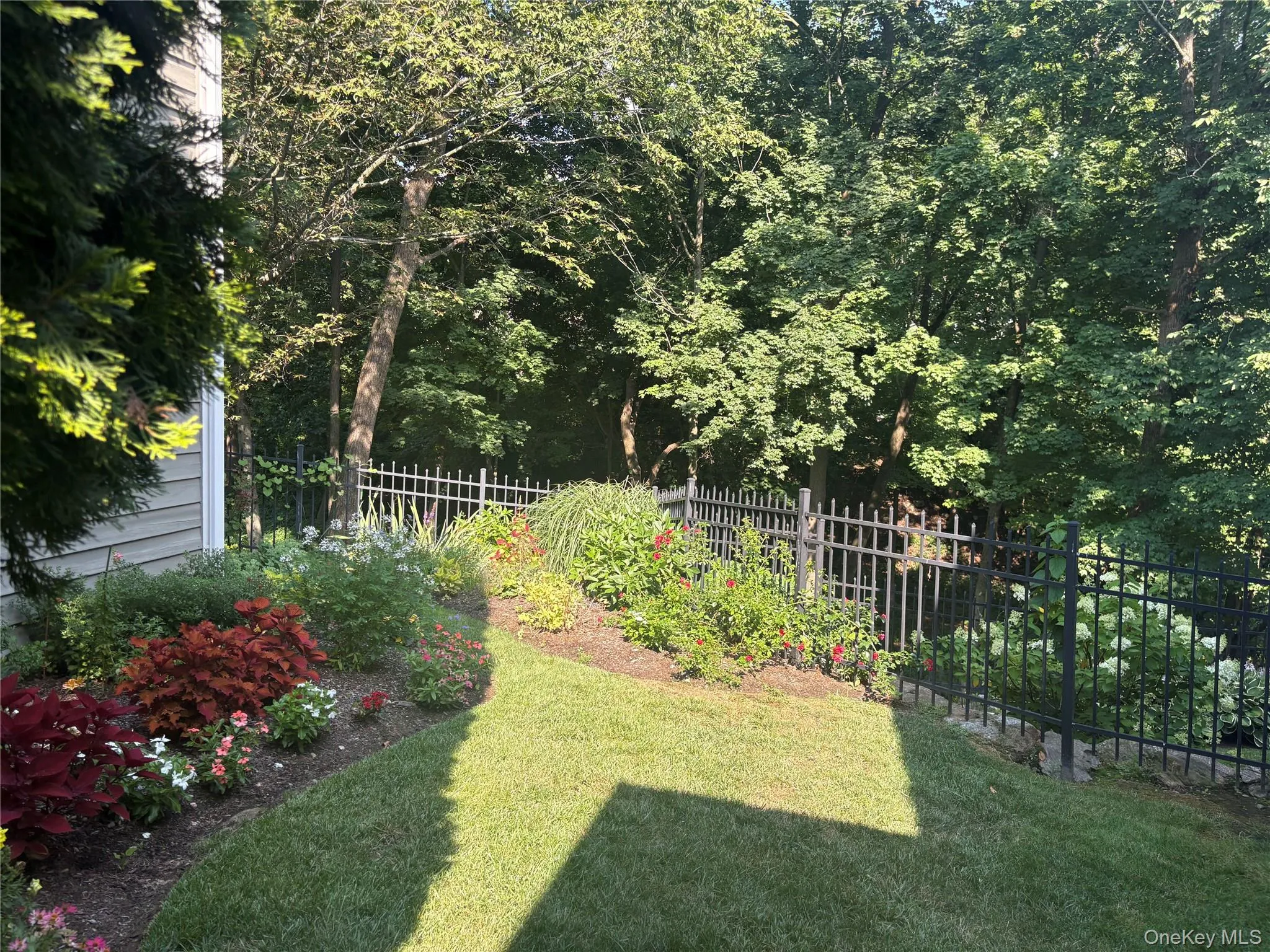 Side yard Side yard