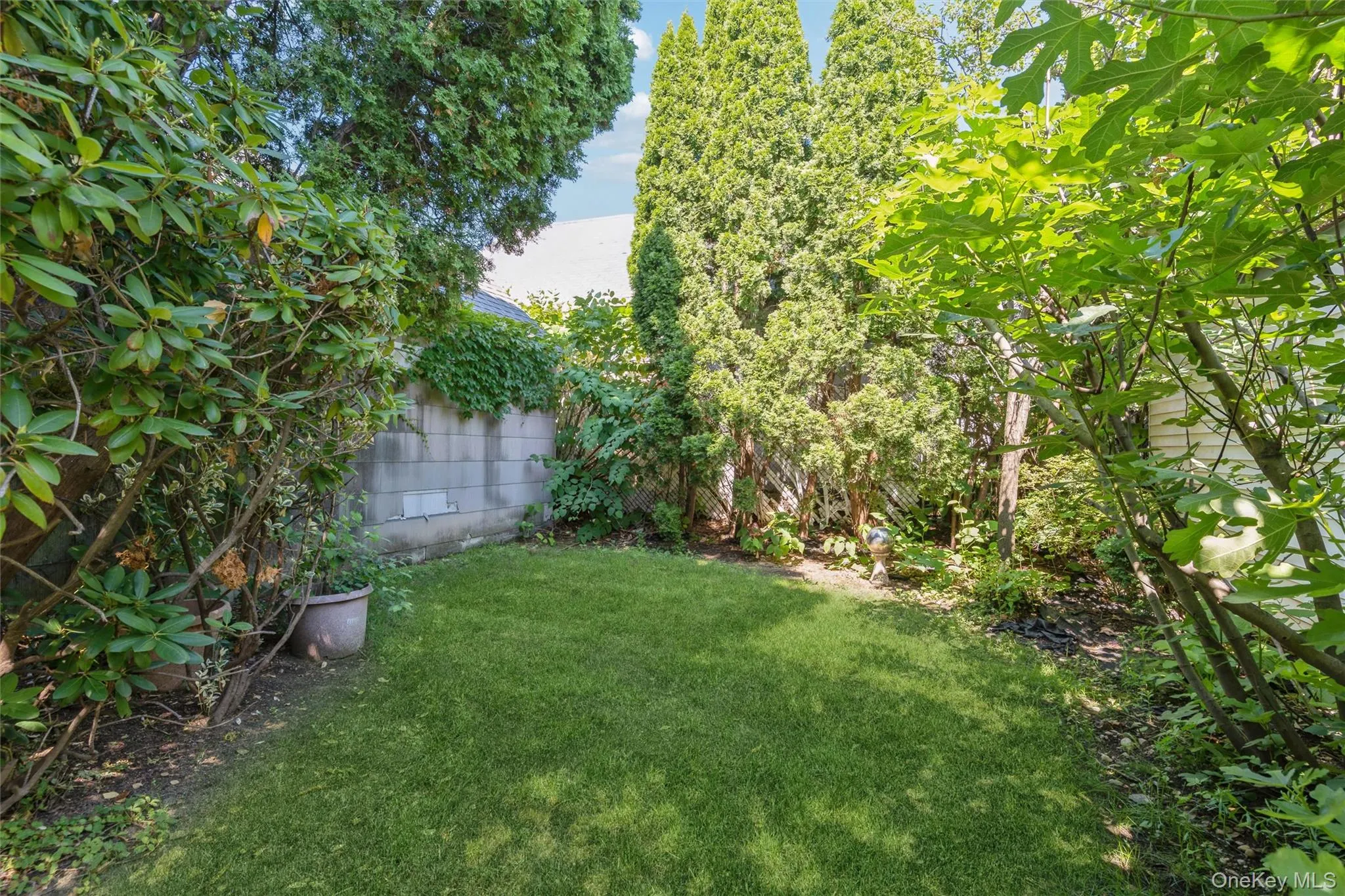 Yard Yard