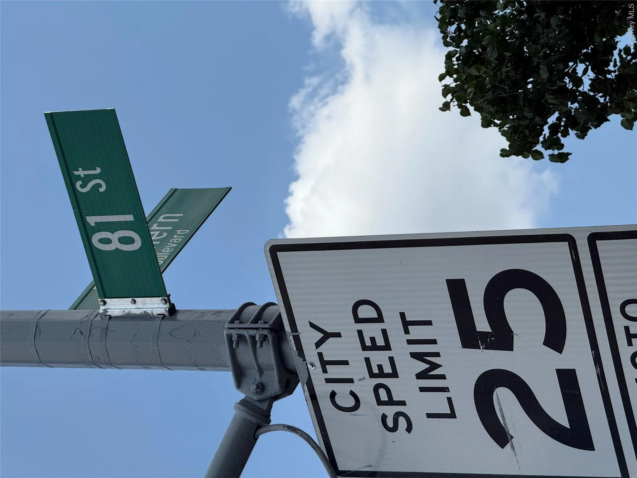 33-15 81st Street, New York, NY, 1 Bedroom Bedrooms, 3 Rooms Rooms,1 BathroomBathrooms,Residential,For Rent,81st,0,1029494 33-15 81st Street, New York, NY, 1 Bedroom Bedrooms, 3 Rooms Rooms,1 BathroomBathrooms,Residential,For Rent,81st,0,1029494