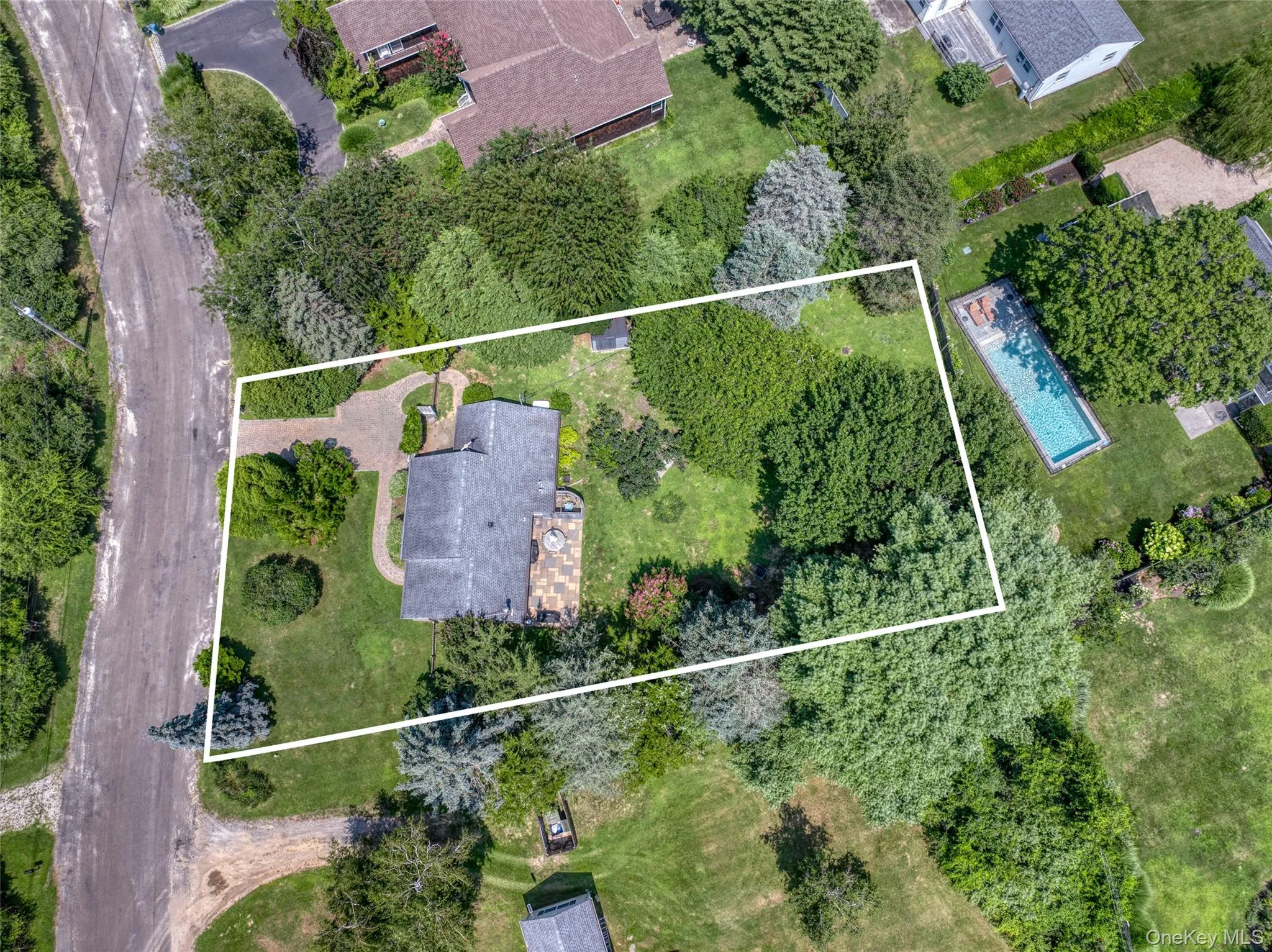 mature specimen trees mature specimen trees