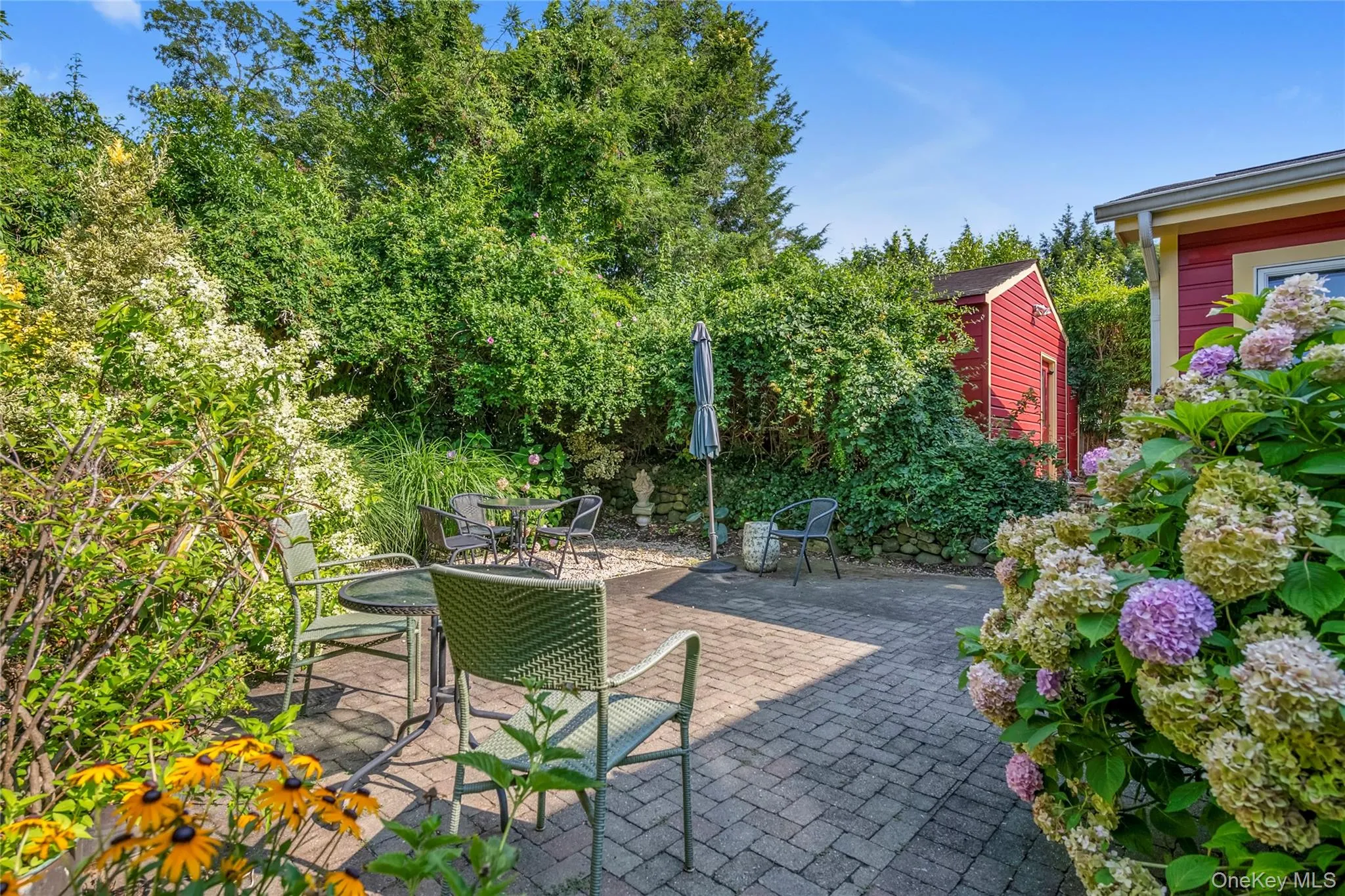 Backyard Backyard