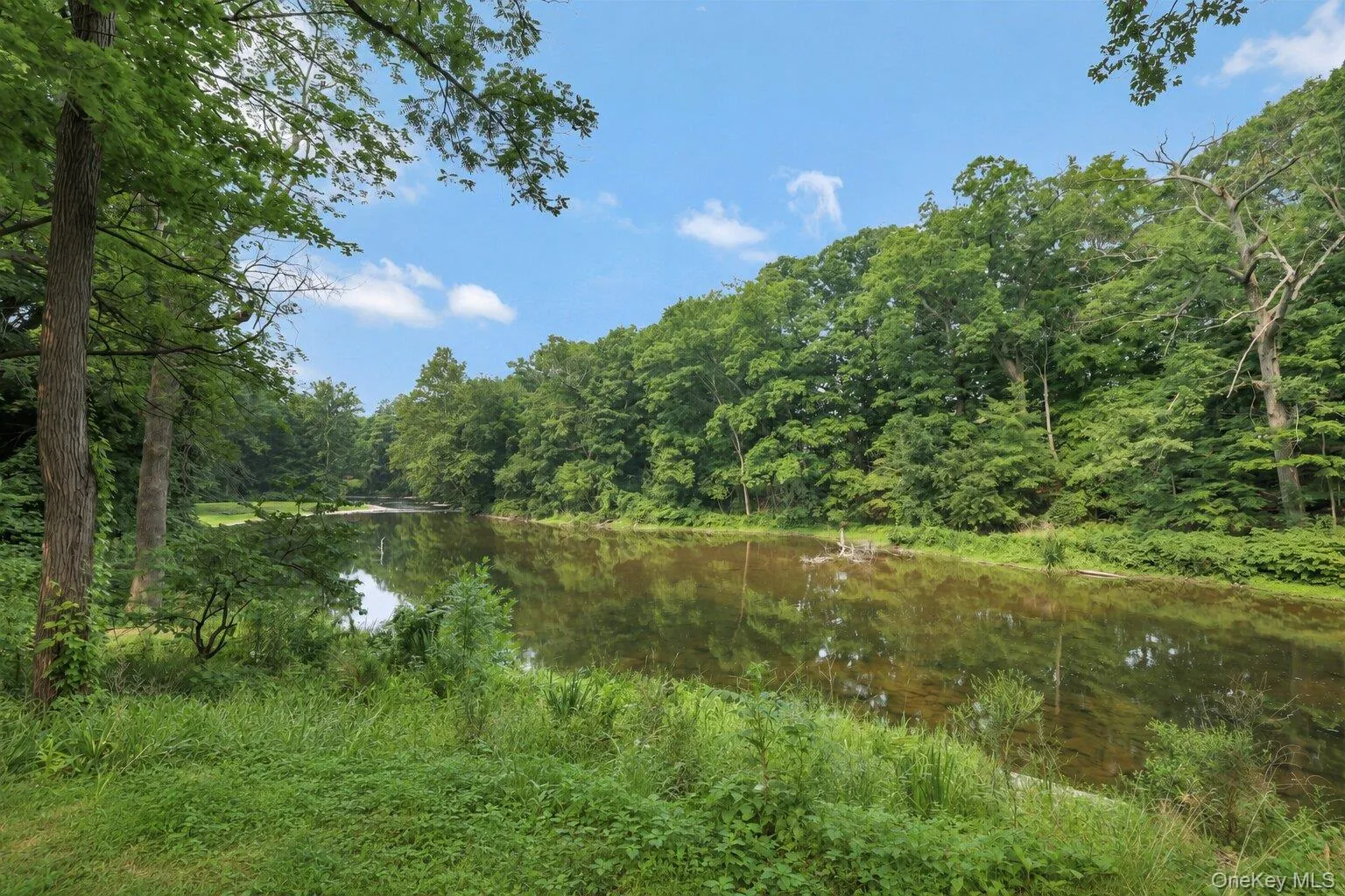 1945 New Hackensack Road, La Grange, NY, 2 Bedrooms Bedrooms, 4 Rooms Rooms,1 BathroomBathrooms,Residential,For Rent,New Hackensack,0,1029529 1945 New Hackensack Road, La Grange, NY, 2 Bedrooms Bedrooms, 4 Rooms Rooms,1 BathroomBathrooms,Residential,For Rent,New Hackensack,0,1029529