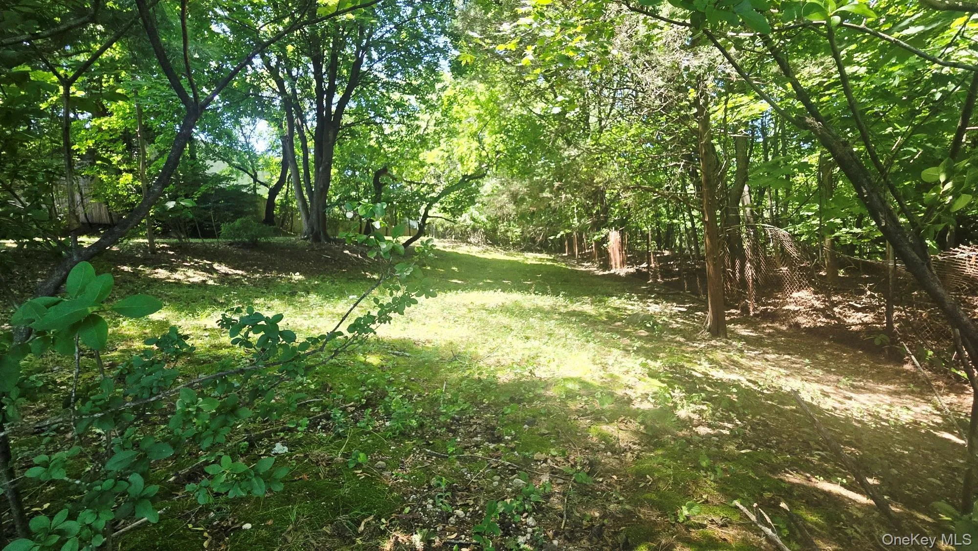 27 Humphrey Drive, Oyster Bay, NY, 4 Bedrooms Bedrooms, 9 Rooms Rooms,2 BathroomsBathrooms,Residential,For Rent,Humphrey,0,1029538 27 Humphrey Drive, Oyster Bay, NY, 4 Bedrooms Bedrooms, 9 Rooms Rooms,2 BathroomsBathrooms,Residential,For Rent,Humphrey,0,1029538