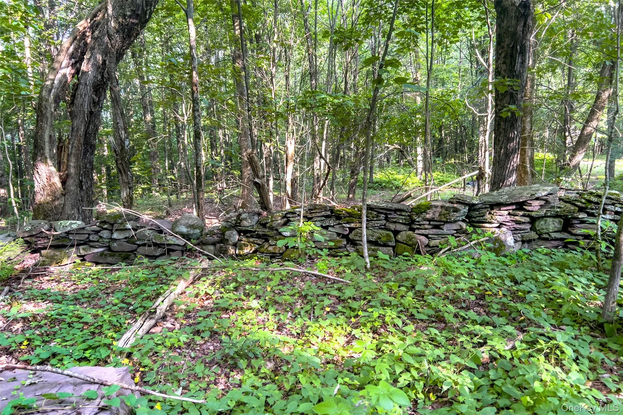 ATV Trails ATV Trails