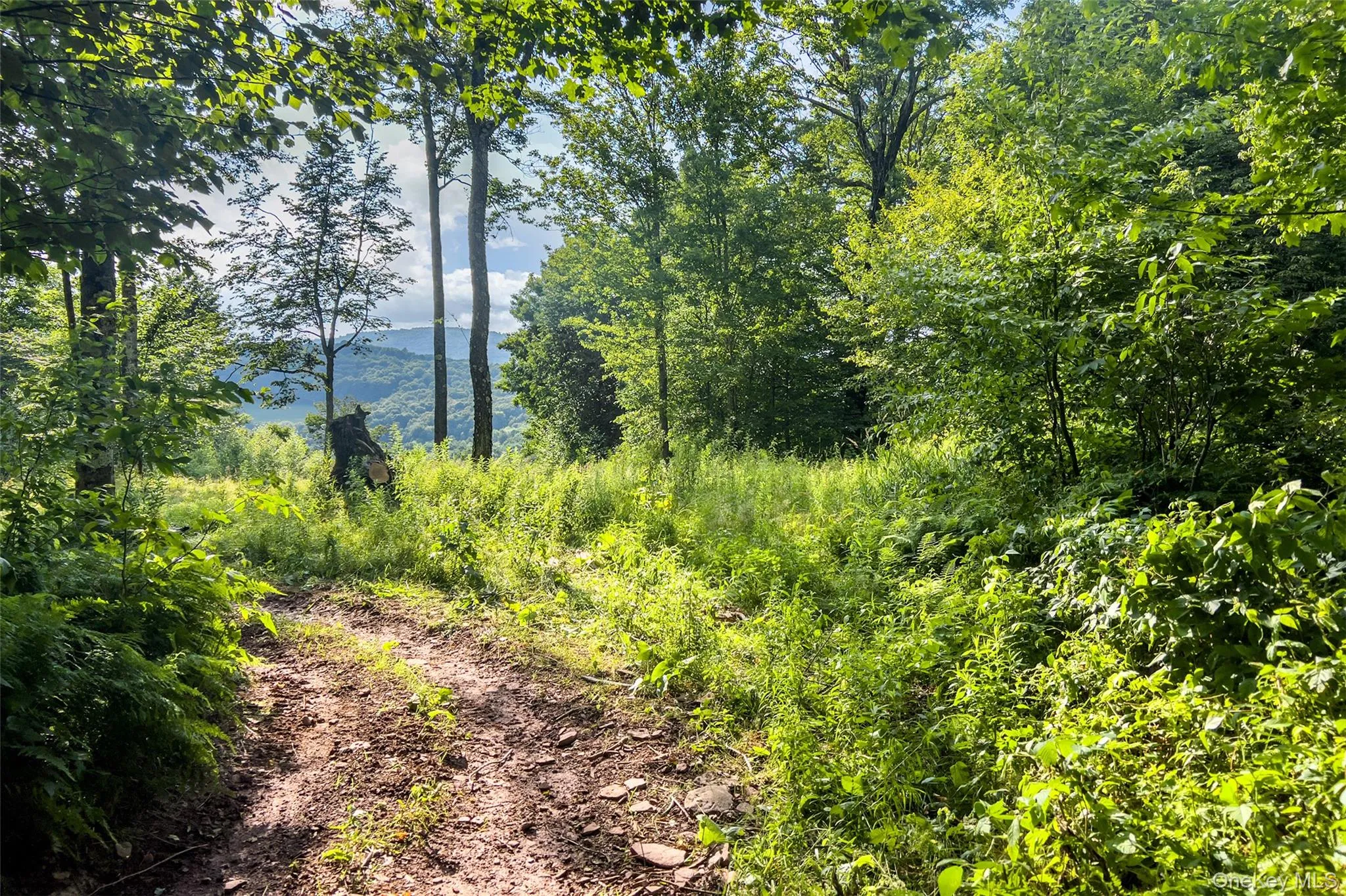 ATV Trails ATV Trails