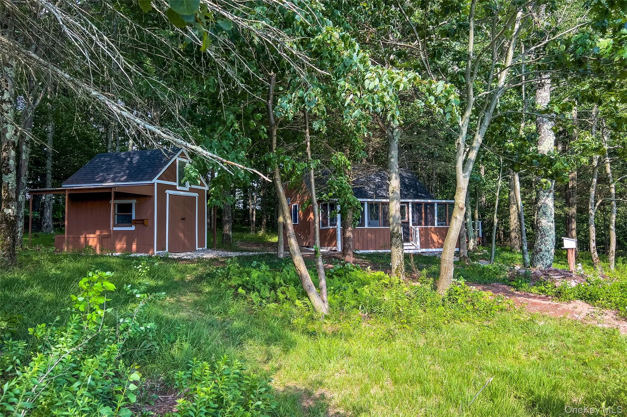 Cabin in the woods Cabin in the woods