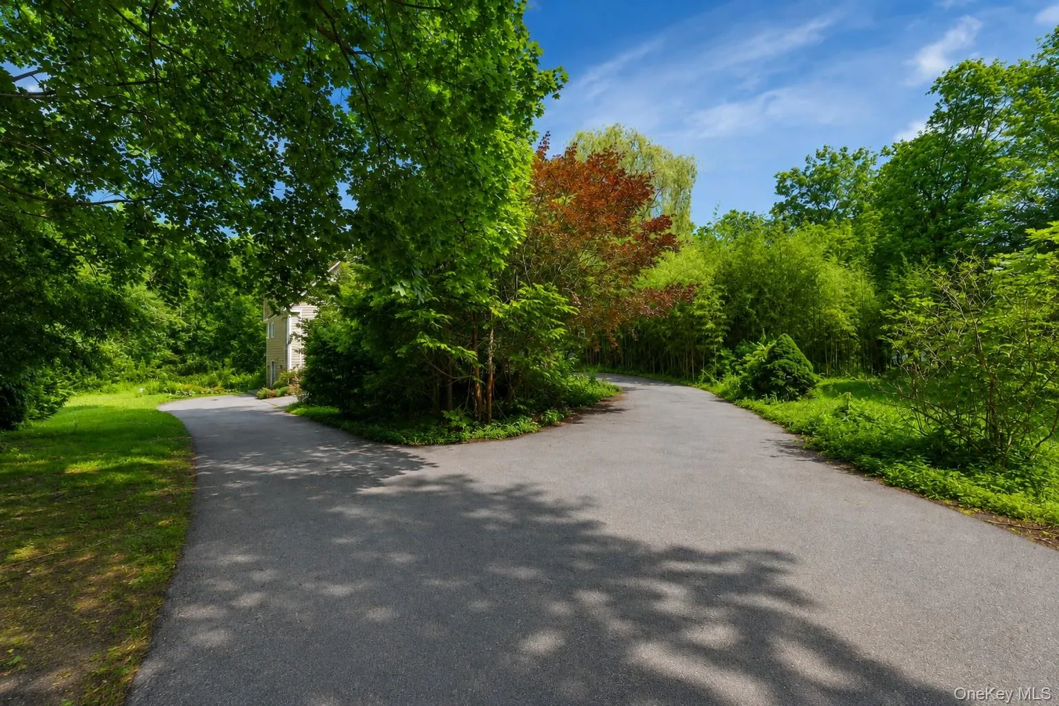 View towards property from driveway. View towards property from driveway.