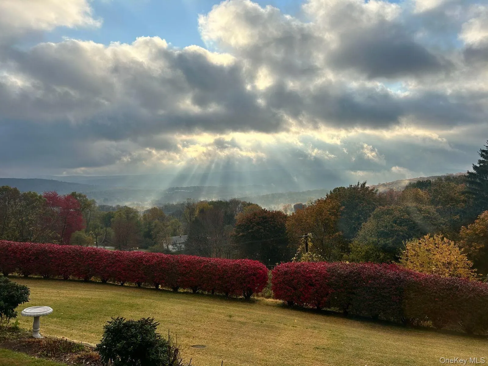 Unbeatable Autumn views! Unbeatable Autumn views!
