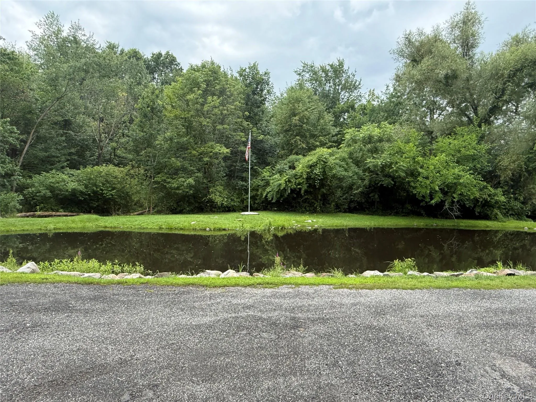 Pond which is 3-4 feet deep Pond which is 3-4 feet deep