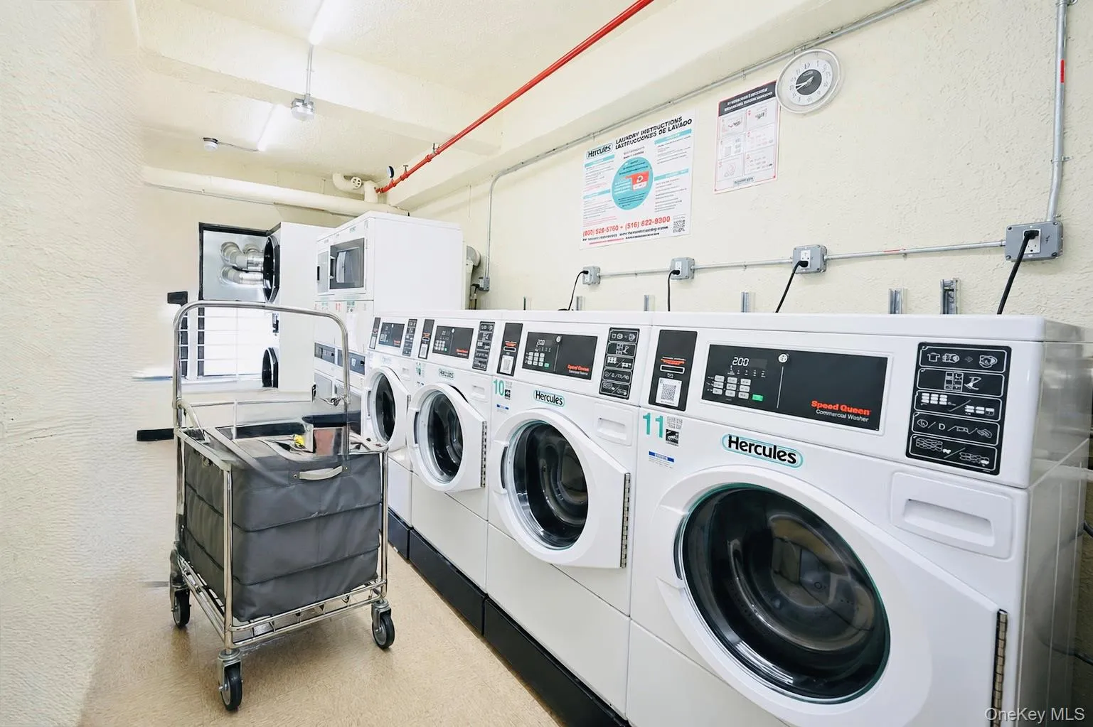 99-63 66th, New York, NY, 1 Bedroom Bedrooms, 5 Rooms Rooms,1 BathroomBathrooms,Residential,For Rent,66th,0,1029623 99-63 66th, New York, NY, 1 Bedroom Bedrooms, 5 Rooms Rooms,1 BathroomBathrooms,Residential,For Rent,66th,0,1029623
