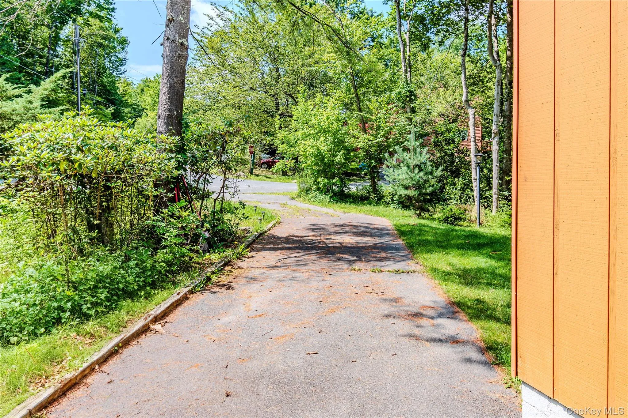 15 Winterthur Road, Fallsburg, NY, 3 Bedrooms Bedrooms, 4 Rooms Rooms,2 BathroomsBathrooms,Residential,For Rent,Winterthur,0,1029641 15 Winterthur Road, Fallsburg, NY, 3 Bedrooms Bedrooms, 4 Rooms Rooms,2 BathroomsBathrooms,Residential,For Rent,Winterthur,0,1029641
