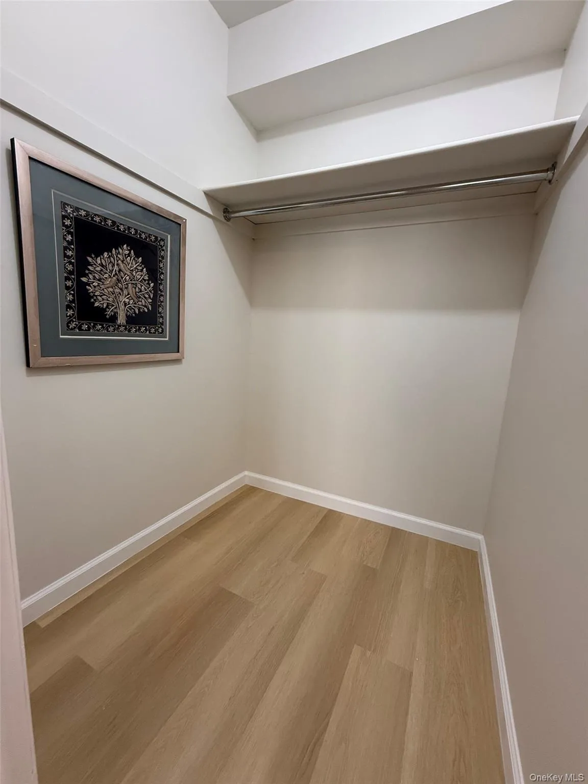 4231 Colden Street, New York, NY, 4 Bedrooms Bedrooms, 8 Rooms Rooms,3 BathroomsBathrooms,Residential,For Rent,Colden,0,1029643 4231 Colden Street, New York, NY, 4 Bedrooms Bedrooms, 8 Rooms Rooms,3 BathroomsBathrooms,Residential,For Rent,Colden,0,1029643