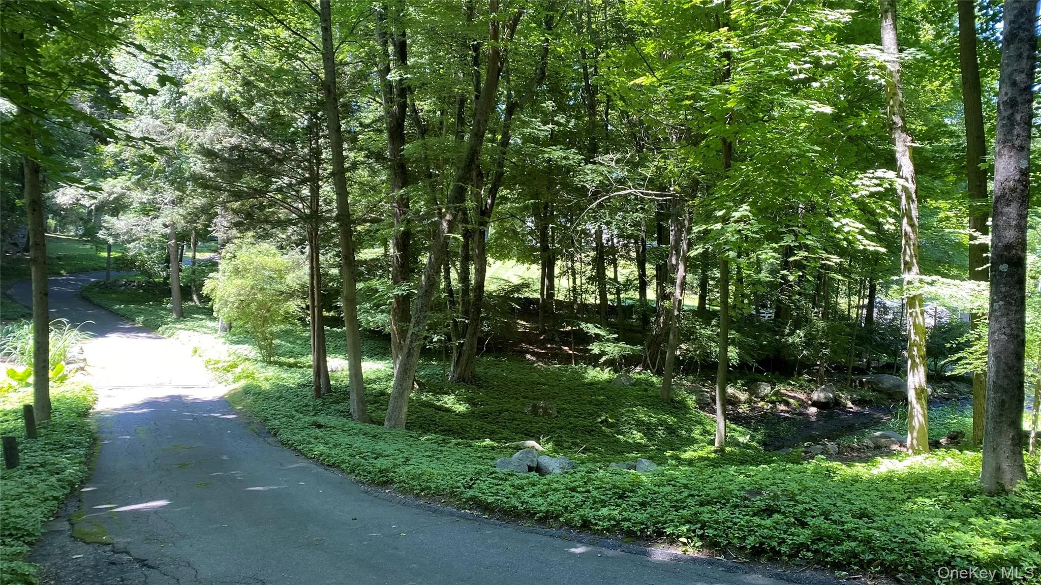 6 Renda Street, New Fairfield, CT, 3 Bedrooms Bedrooms, 7 Rooms Rooms,3 BathroomsBathrooms,Residential,For Rent,Renda,0,1029701 6 Renda Street, New Fairfield, CT, 3 Bedrooms Bedrooms, 7 Rooms Rooms,3 BathroomsBathrooms,Residential,For Rent,Renda,0,1029701