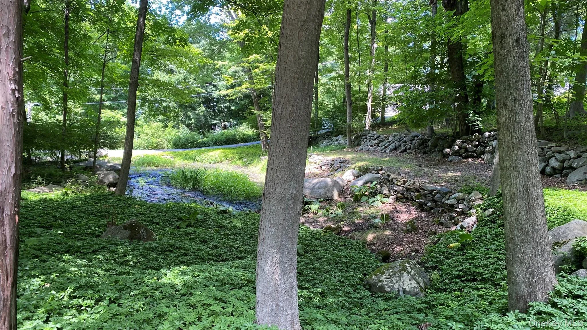 6 Renda Street, New Fairfield, CT, 3 Bedrooms Bedrooms, 7 Rooms Rooms,3 BathroomsBathrooms,Residential,For Rent,Renda,0,1029701 6 Renda Street, New Fairfield, CT, 3 Bedrooms Bedrooms, 7 Rooms Rooms,3 BathroomsBathrooms,Residential,For Rent,Renda,0,1029701