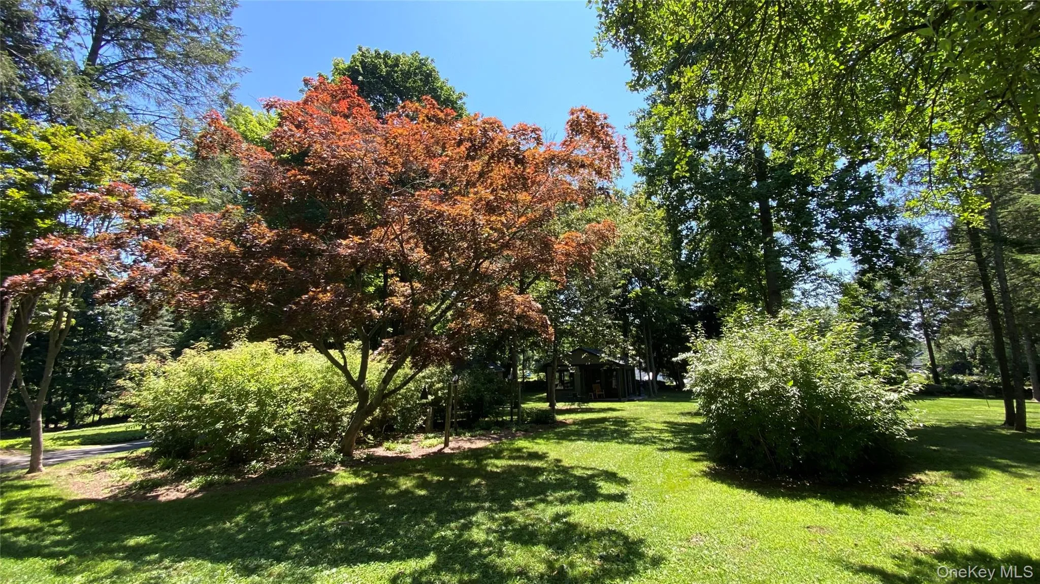 6 Renda Street, New Fairfield, CT, 3 Bedrooms Bedrooms, 7 Rooms Rooms,3 BathroomsBathrooms,Residential,For Rent,Renda,0,1029701 6 Renda Street, New Fairfield, CT, 3 Bedrooms Bedrooms, 7 Rooms Rooms,3 BathroomsBathrooms,Residential,For Rent,Renda,0,1029701
