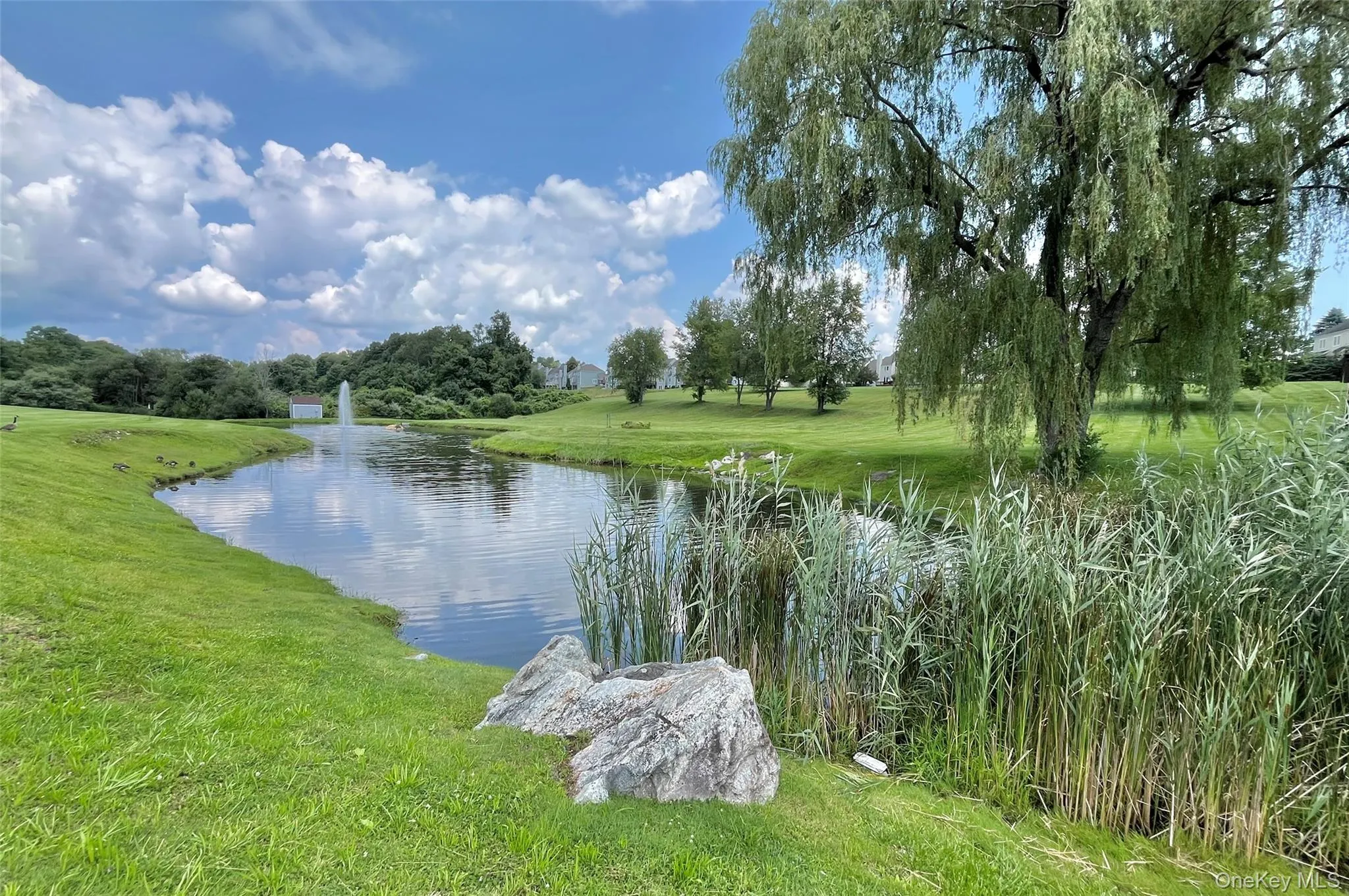 172 Fairway Drive, Carmel, NY, 1 Bedroom Bedrooms, 5 Rooms Rooms,1 BathroomBathrooms,Residential,For Rent,Fairway,0,1029705 172 Fairway Drive, Carmel, NY, 1 Bedroom Bedrooms, 5 Rooms Rooms,1 BathroomBathrooms,Residential,For Rent,Fairway,0,1029705