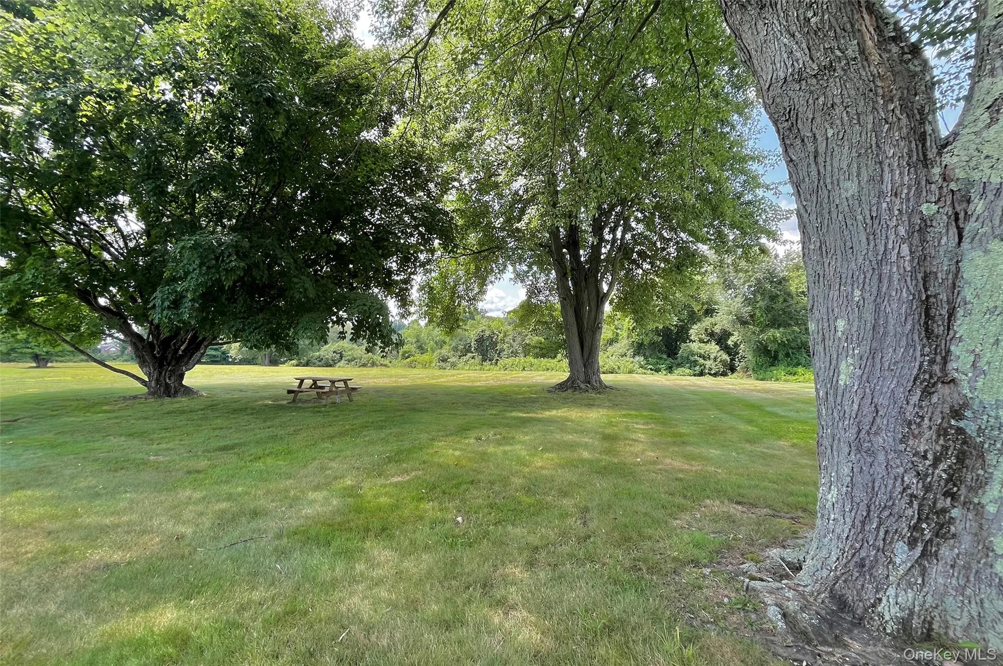 172 Fairway Drive, Carmel, NY, 1 Bedroom Bedrooms, 5 Rooms Rooms,1 BathroomBathrooms,Residential,For Rent,Fairway,0,1029705 172 Fairway Drive, Carmel, NY, 1 Bedroom Bedrooms, 5 Rooms Rooms,1 BathroomBathrooms,Residential,For Rent,Fairway,0,1029705