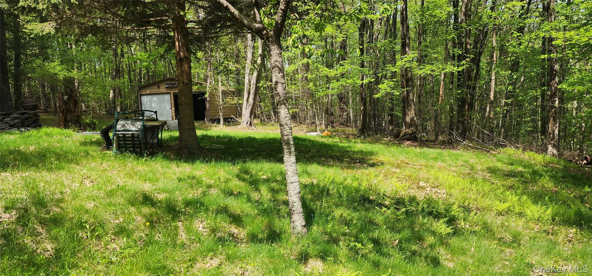 View of yard with an outbuilding, a storage unit, and a wooded view View of yard with an outbuilding, a storage unit, and a wooded view