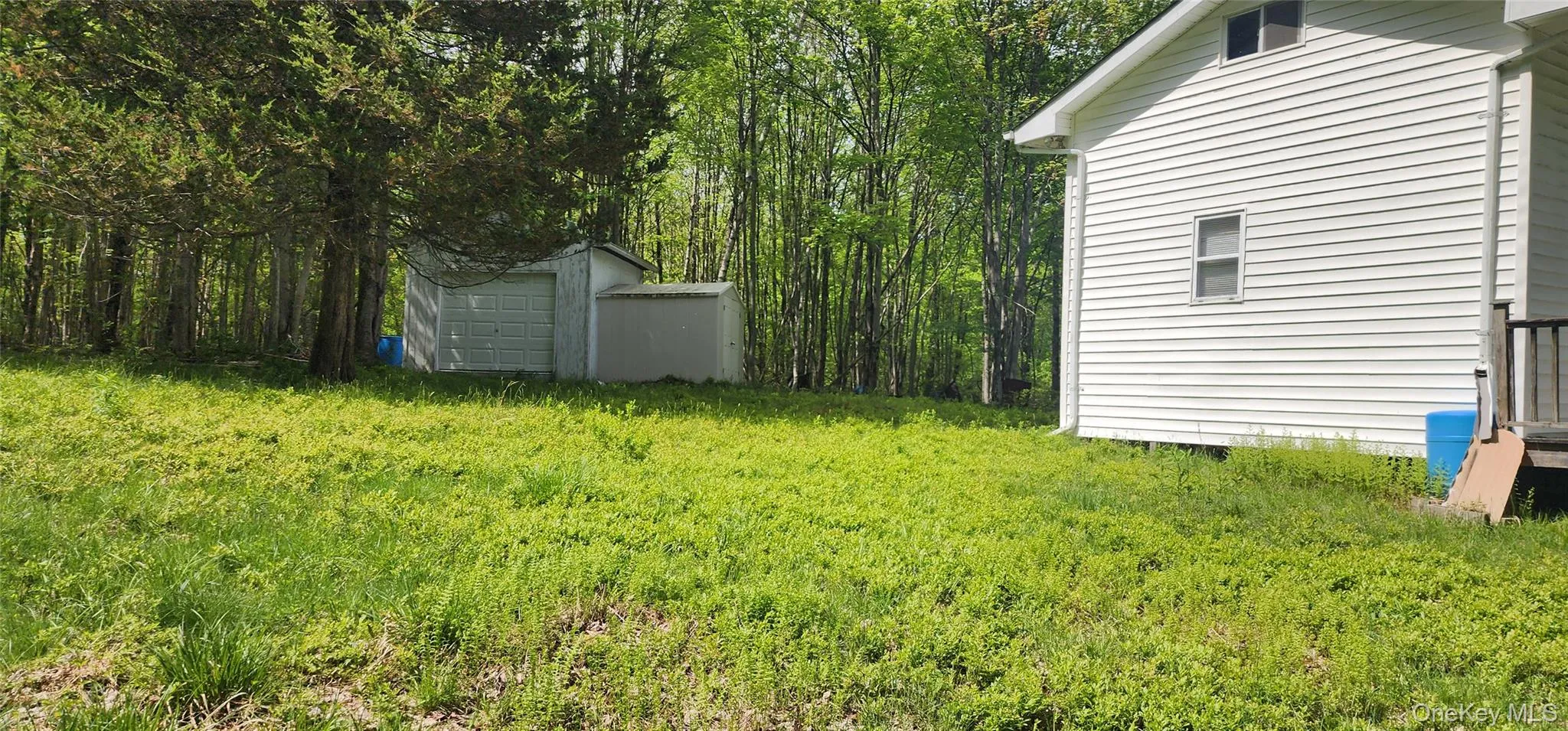 View of yard with a storage unit and an outbuilding View of yard with a storage unit and an outbuilding