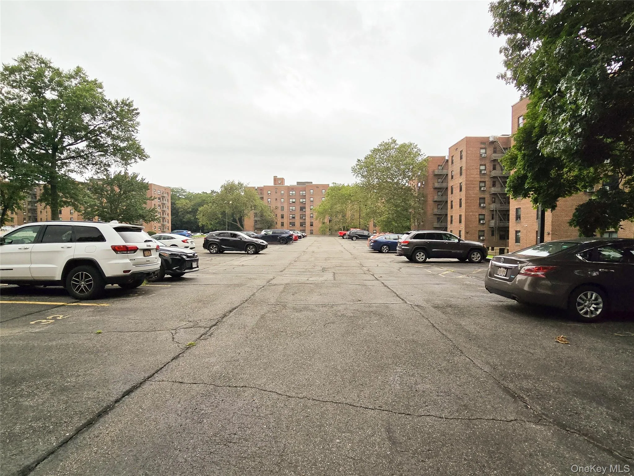 211-10 73rd Avenue, New York, NY, 1 Bedroom Bedrooms, 3 Rooms Rooms,1 BathroomBathrooms,Residential,For Rent,73rd,0,1029715 211-10 73rd Avenue, New York, NY, 1 Bedroom Bedrooms, 3 Rooms Rooms,1 BathroomBathrooms,Residential,For Rent,73rd,0,1029715