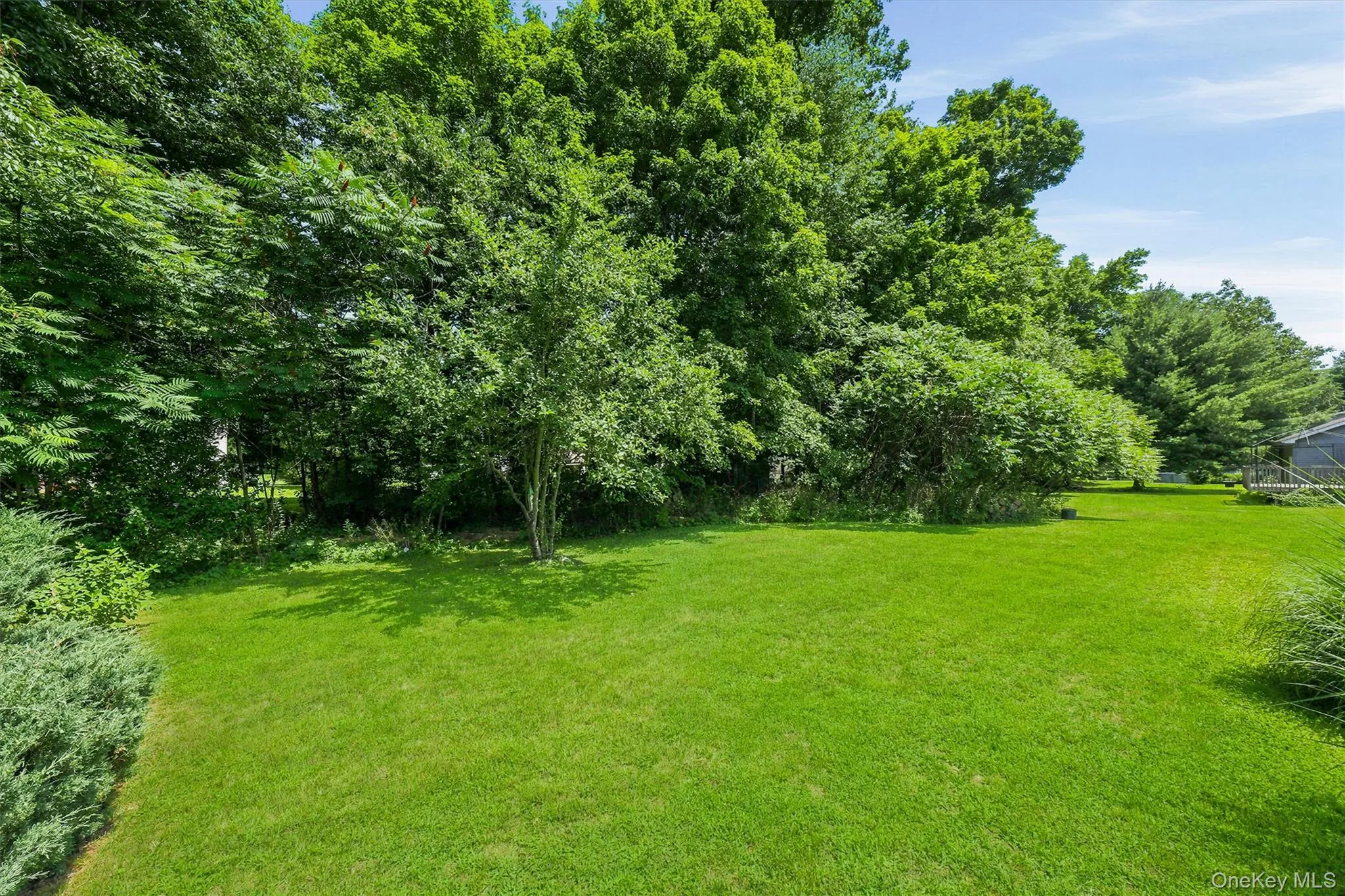 Expansive grassy yard with mature trees and established perimeter plantings Expansive grassy yard with mature trees and established perimeter plantings