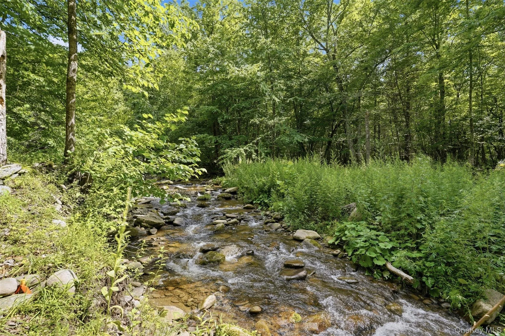 736 Sundown Road, Denning, NY, 3 Bedrooms Bedrooms, 8 Rooms Rooms,1 BathroomBathrooms,Residential,For Rent,Sundown,0,1029766 736 Sundown Road, Denning, NY, 3 Bedrooms Bedrooms, 8 Rooms Rooms,1 BathroomBathrooms,Residential,For Rent,Sundown,0,1029766