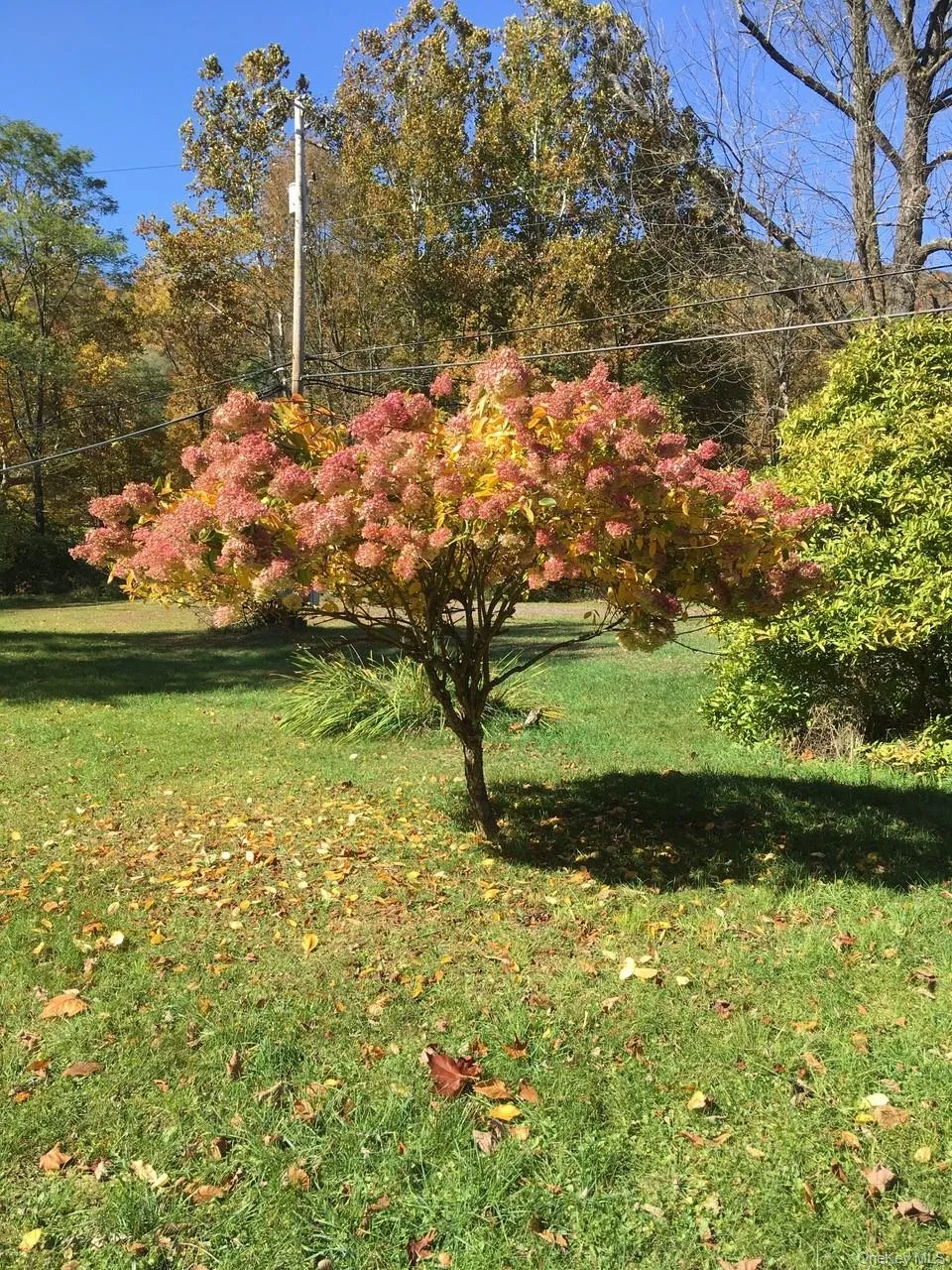 736 Sundown Road, Denning, NY, 3 Bedrooms Bedrooms, 8 Rooms Rooms,1 BathroomBathrooms,Residential,For Rent,Sundown,0,1029766 736 Sundown Road, Denning, NY, 3 Bedrooms Bedrooms, 8 Rooms Rooms,1 BathroomBathrooms,Residential,For Rent,Sundown,0,1029766