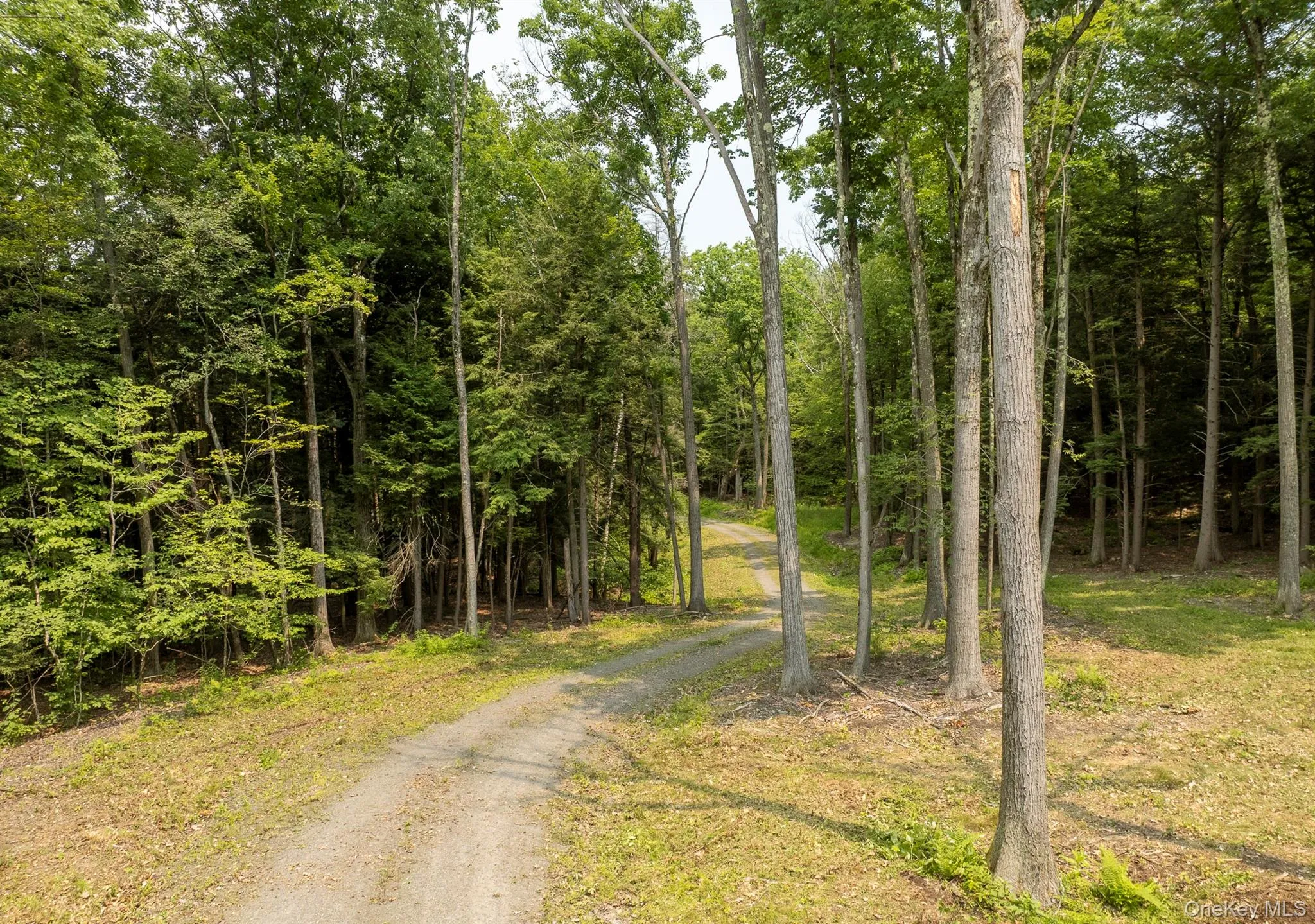 276 Hill Road, Austerlitz, NY, ,Land,For Rent,Hill,0,1029774 276 Hill Road, Austerlitz, NY, ,Land,For Rent,Hill,0,1029774