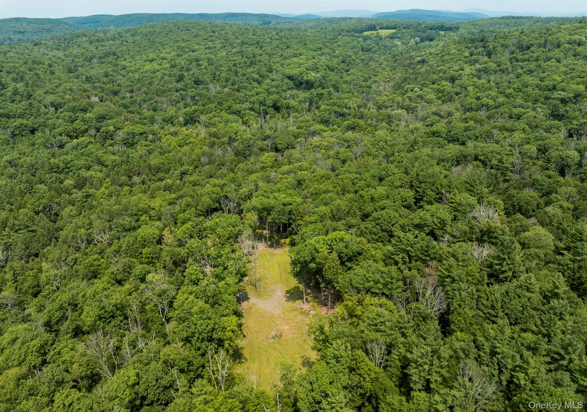 276 Hill Road, Austerlitz, NY, ,Land,For Rent,Hill,0,1029774 276 Hill Road, Austerlitz, NY, ,Land,For Rent,Hill,0,1029774