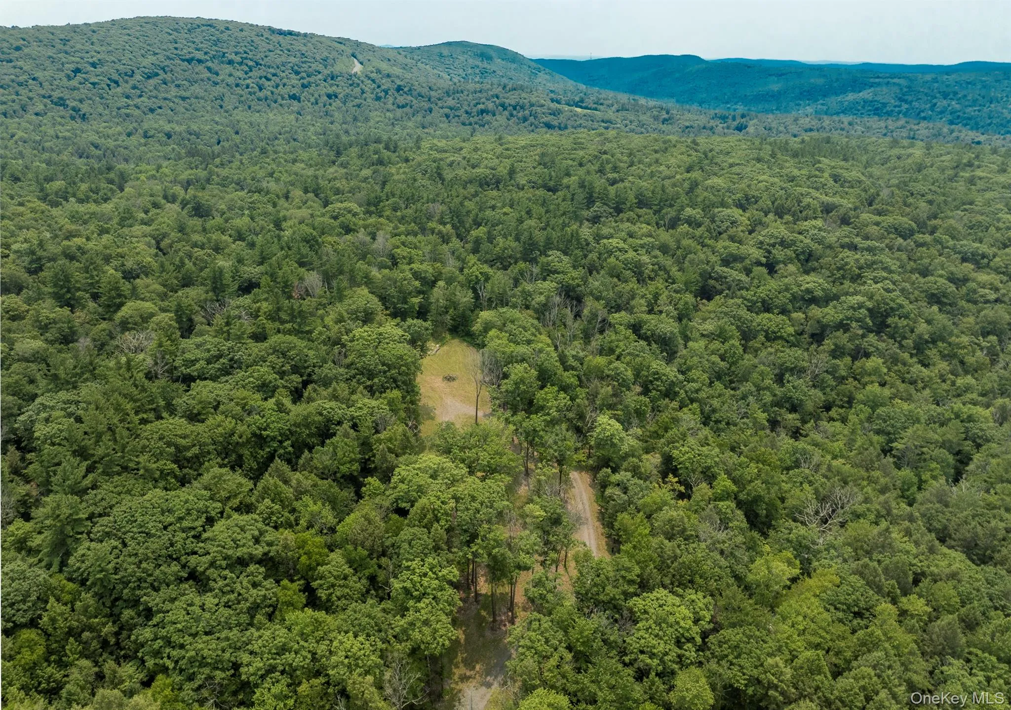 276 Hill Road, Austerlitz, NY, ,Land,For Rent,Hill,0,1029774 276 Hill Road, Austerlitz, NY, ,Land,For Rent,Hill,0,1029774