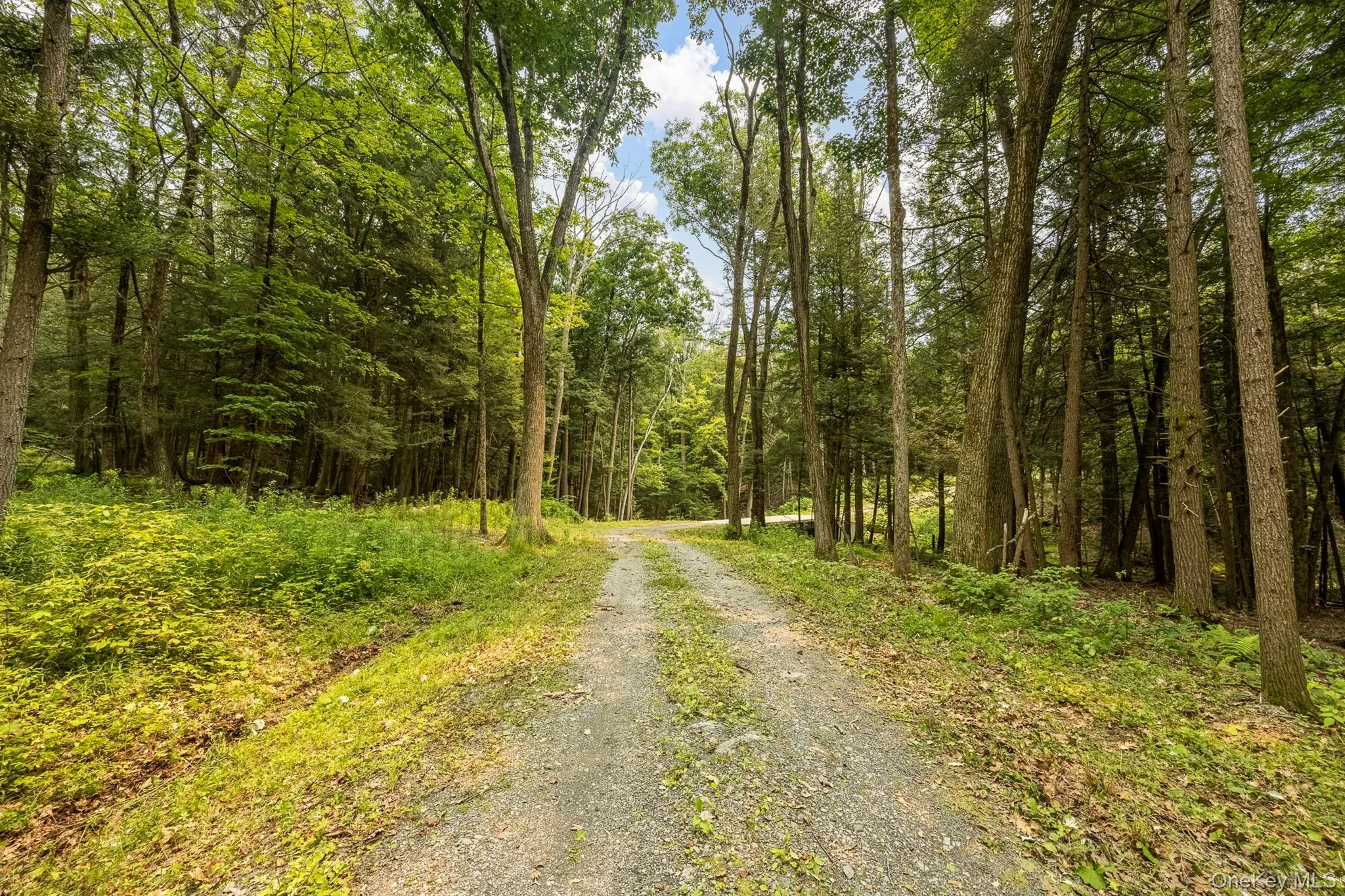 276 Hill Road, Austerlitz, NY, ,Land,For Rent,Hill,0,1029774 276 Hill Road, Austerlitz, NY, ,Land,For Rent,Hill,0,1029774