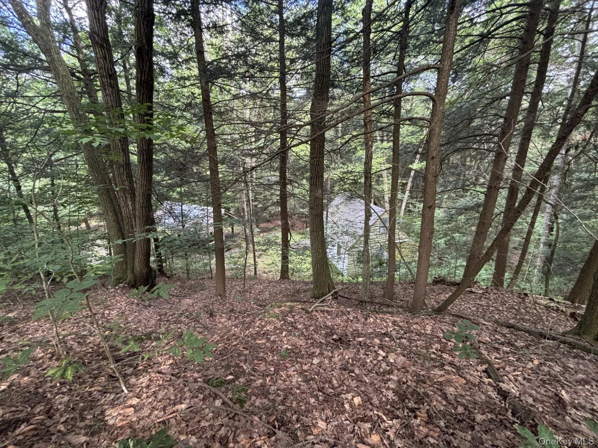 276 Hill Road, Austerlitz, NY, ,Land,For Rent,Hill,0,1029774 276 Hill Road, Austerlitz, NY, ,Land,For Rent,Hill,0,1029774