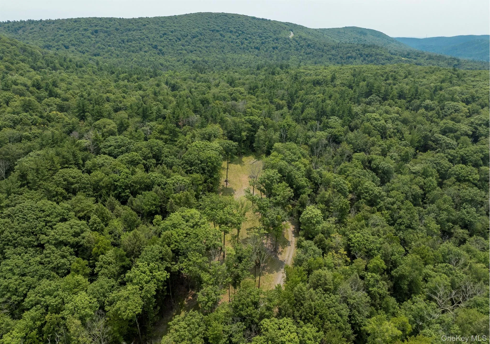 276 Hill Road, Austerlitz, NY, ,Land,For Rent,Hill,0,1029774 276 Hill Road, Austerlitz, NY, ,Land,For Rent,Hill,0,1029774