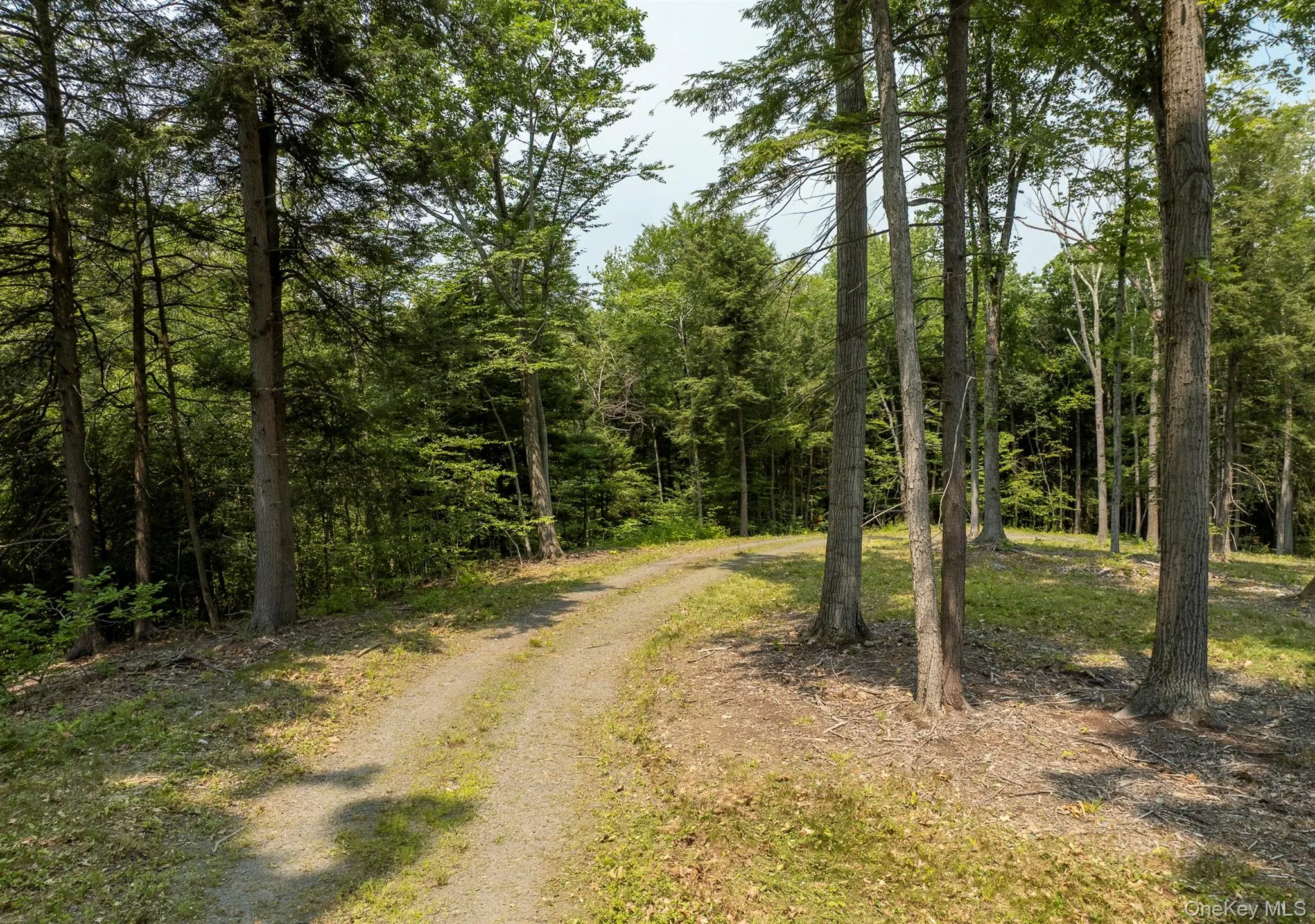 276 Hill Road, Austerlitz, NY, ,Land,For Rent,Hill,0,1029774 276 Hill Road, Austerlitz, NY, ,Land,For Rent,Hill,0,1029774