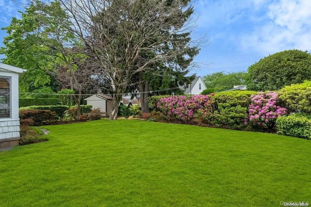 Yard Yard