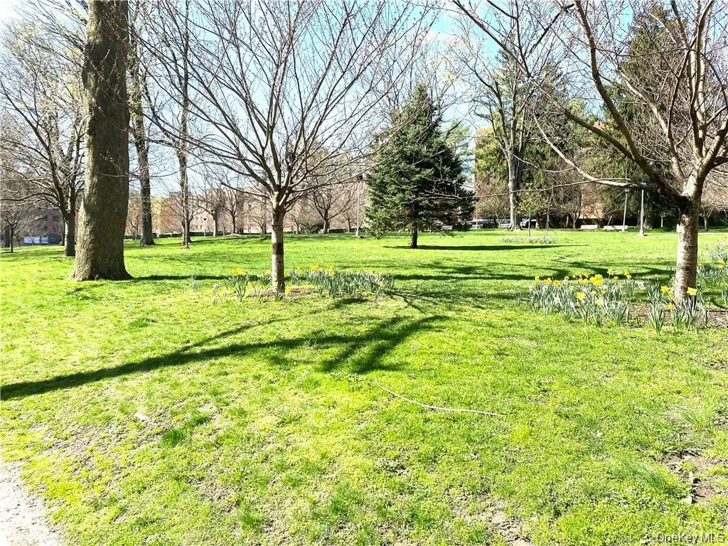 Park next door Park next door