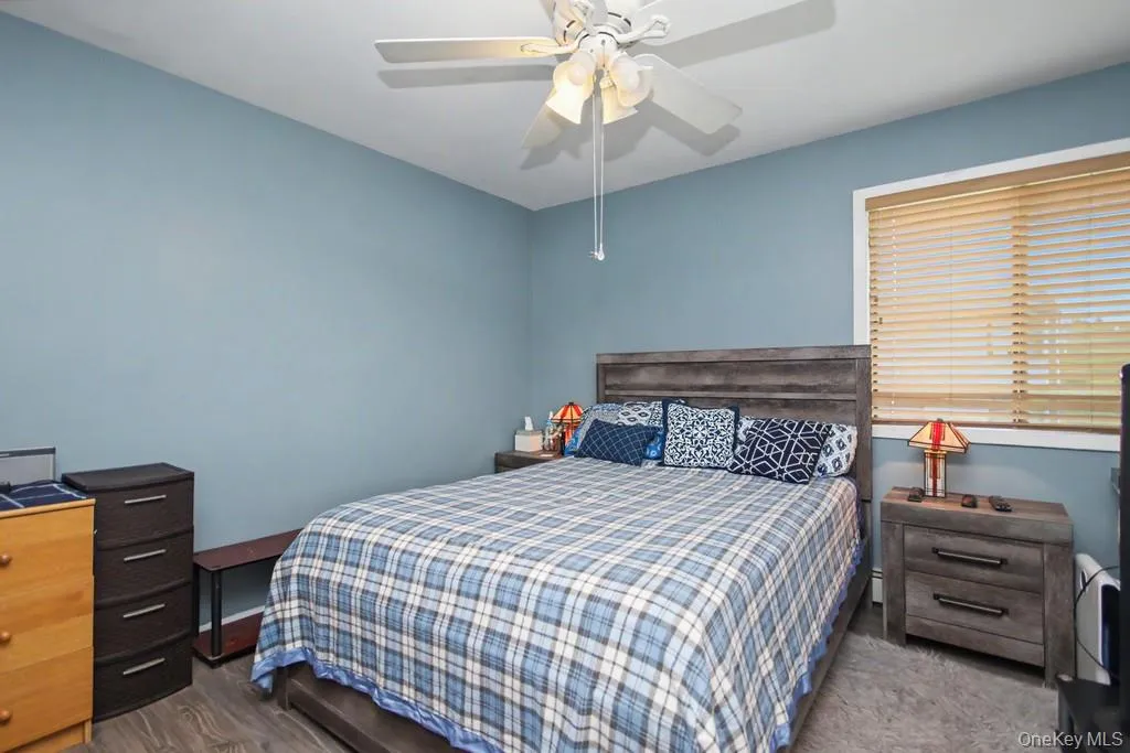 Ceiling fan and lots of natural light Ceiling fan and lots of natural light