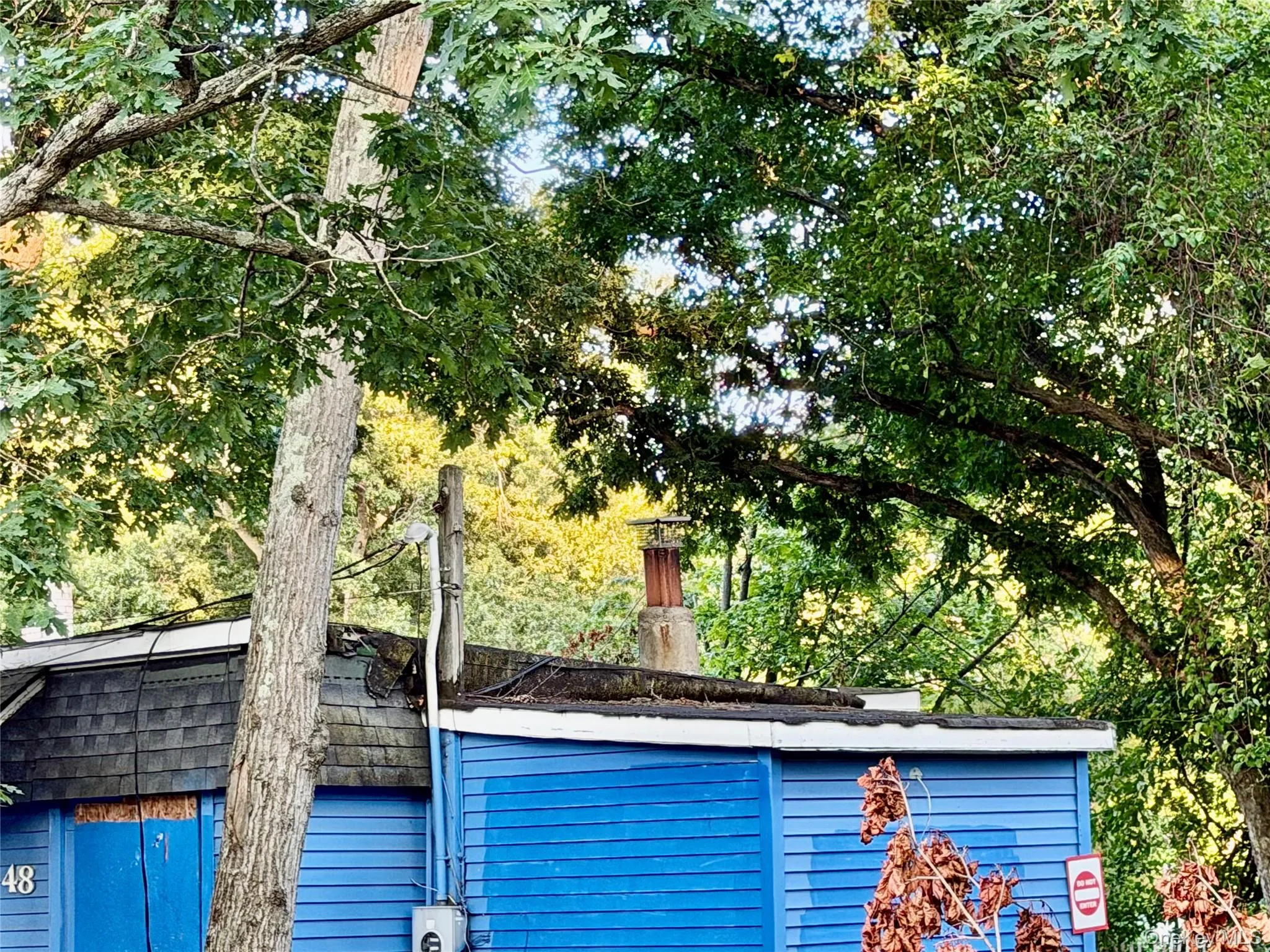 48 Cocoanut Street, Islip, NY, 3 Bedrooms Bedrooms, 7 Rooms Rooms,1 BathroomBathrooms,Residential,For Rent,Cocoanut,0,1029878 48 Cocoanut Street, Islip, NY, 3 Bedrooms Bedrooms, 7 Rooms Rooms,1 BathroomBathrooms,Residential,For Rent,Cocoanut,0,1029878