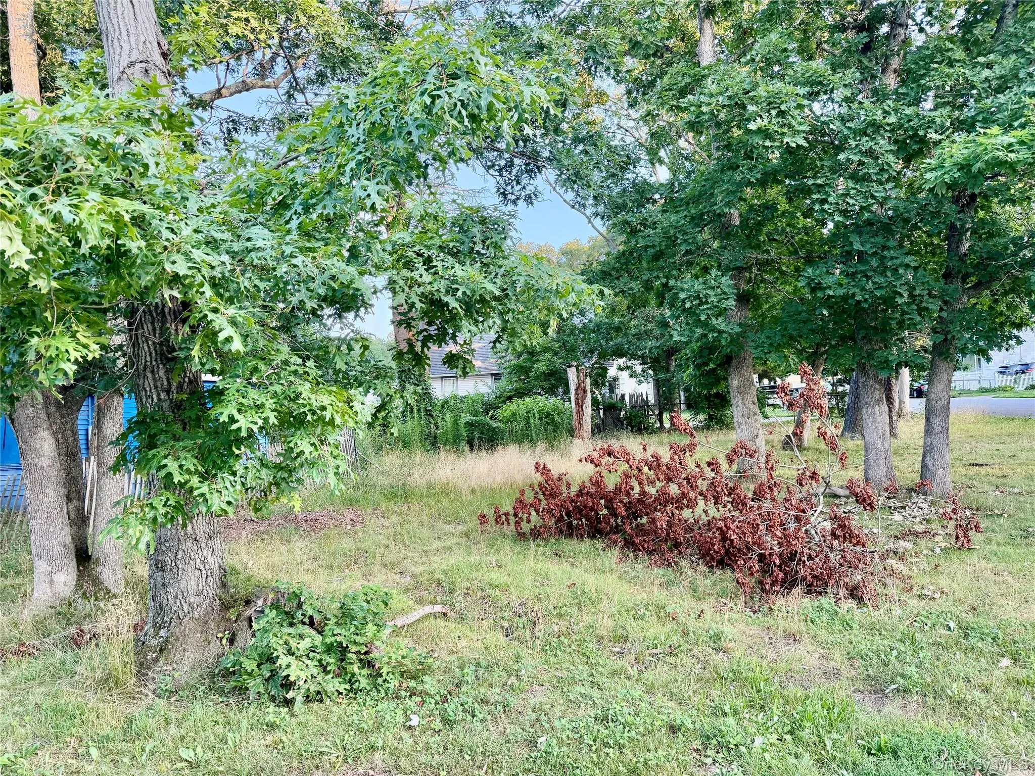 48 Cocoanut Street, Islip, NY, 3 Bedrooms Bedrooms, 7 Rooms Rooms,1 BathroomBathrooms,Residential,For Rent,Cocoanut,0,1029878 48 Cocoanut Street, Islip, NY, 3 Bedrooms Bedrooms, 7 Rooms Rooms,1 BathroomBathrooms,Residential,For Rent,Cocoanut,0,1029878