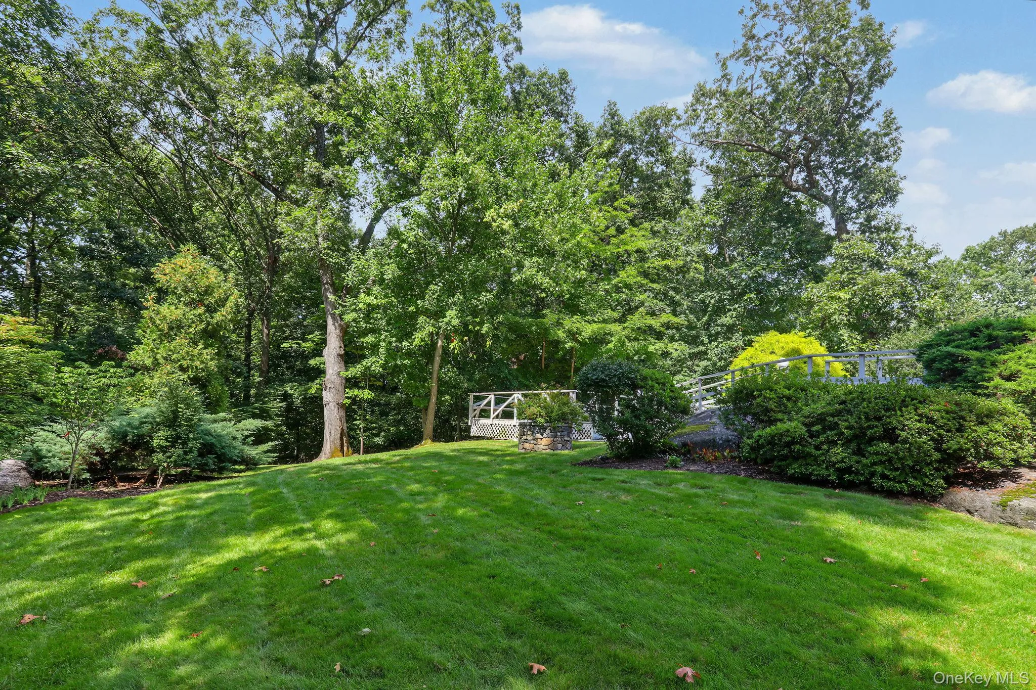 Large backyard Large backyard