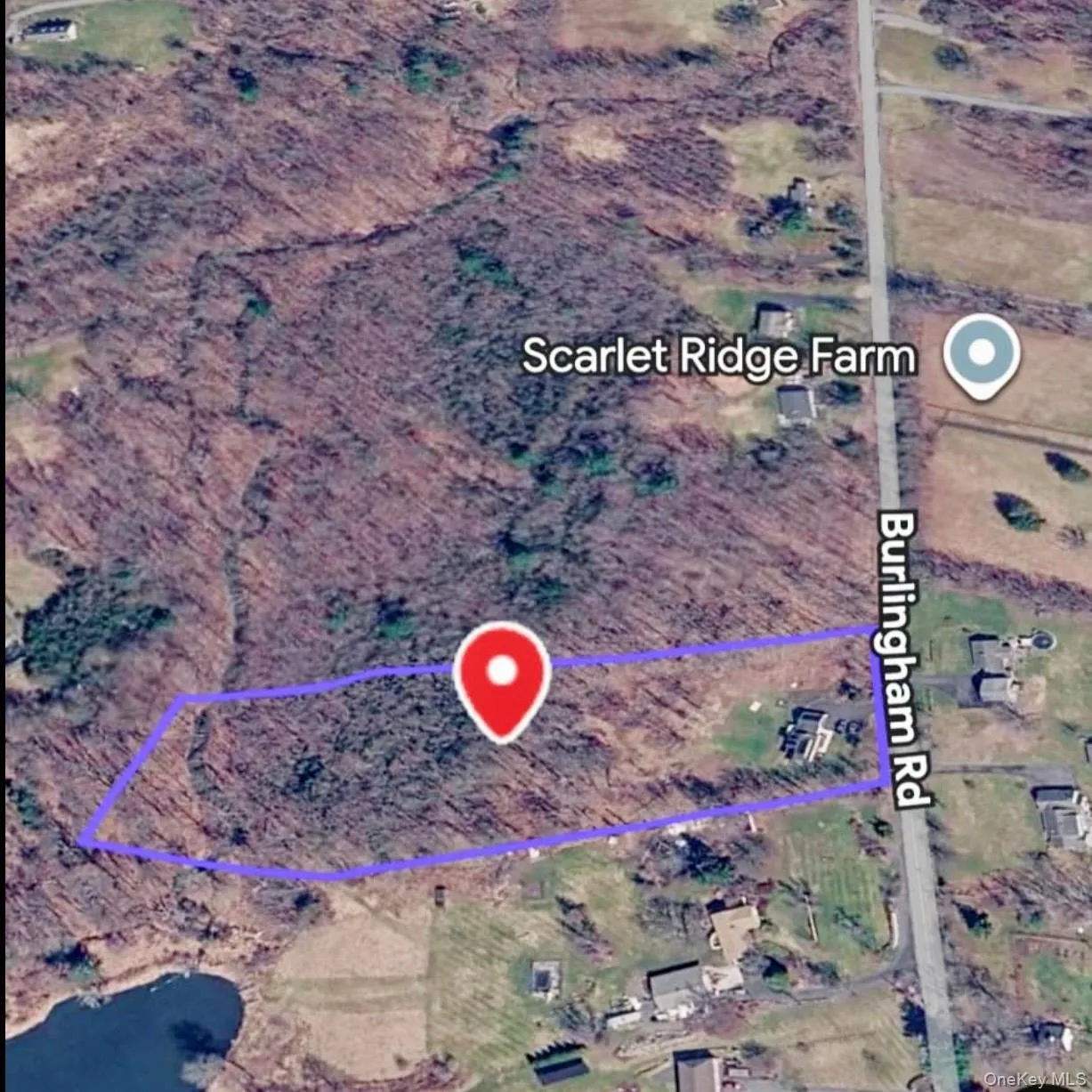 80 Burlingham Road, Crawford, NY, 4 Bedrooms Bedrooms, 8 Rooms Rooms,2 BathroomsBathrooms,Residential,For Rent,Burlingham,0,1029961 80 Burlingham Road, Crawford, NY, 4 Bedrooms Bedrooms, 8 Rooms Rooms,2 BathroomsBathrooms,Residential,For Rent,Burlingham,0,1029961