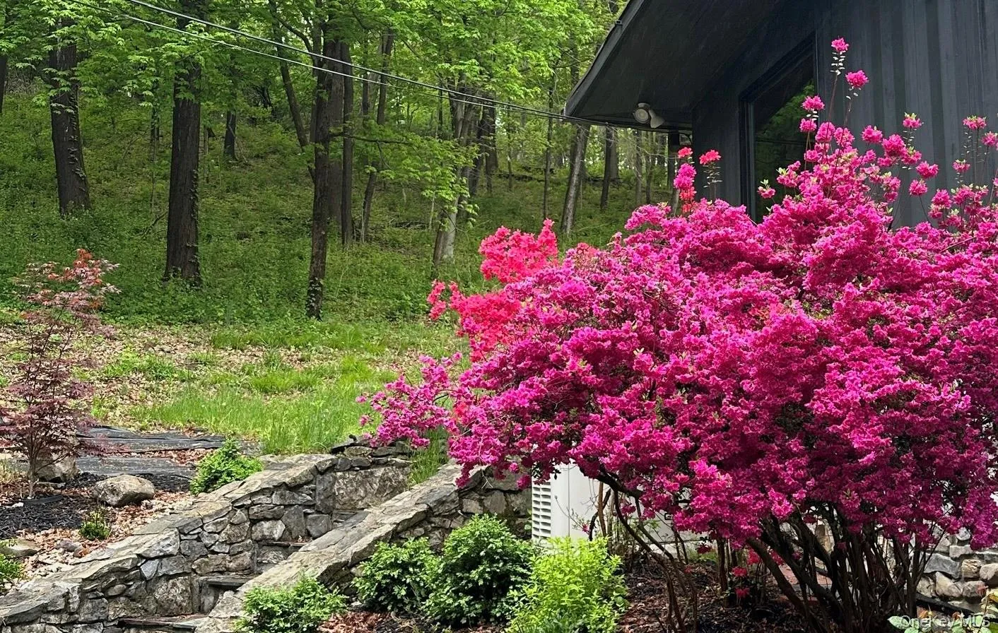 16 Briar Hill Road, East Fishkill, NY, 3 Bedrooms Bedrooms, 7 Rooms Rooms,2 BathroomsBathrooms,Residential,For Rent,Briar Hill,0,1029968 16 Briar Hill Road, East Fishkill, NY, 3 Bedrooms Bedrooms, 7 Rooms Rooms,2 BathroomsBathrooms,Residential,For Rent,Briar Hill,0,1029968