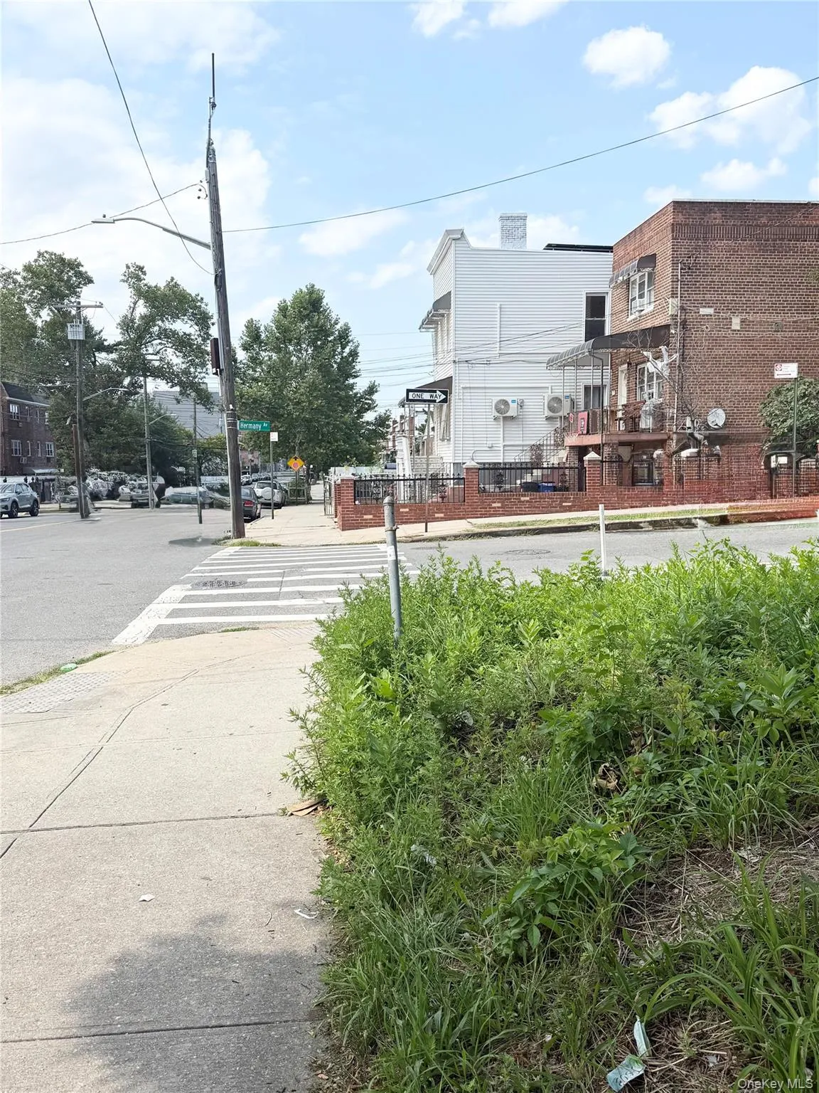 846 Olmstead Avenue, New York, NY, ,Land,For Rent,Olmstead,0,1029982 846 Olmstead Avenue, New York, NY, ,Land,For Rent,Olmstead,0,1029982